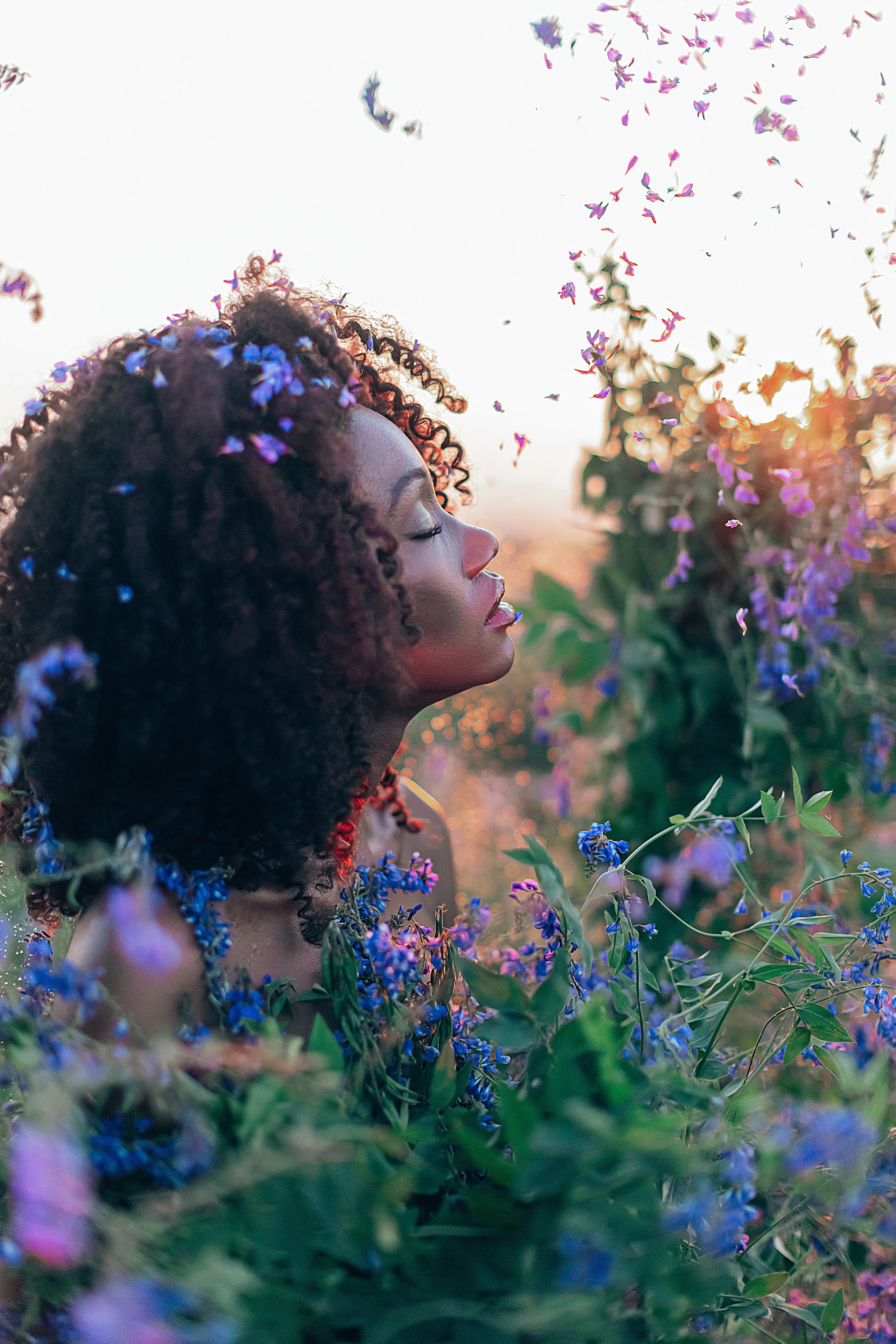 Иван-чай. Фотограф в Красноярске Гетманова Мила