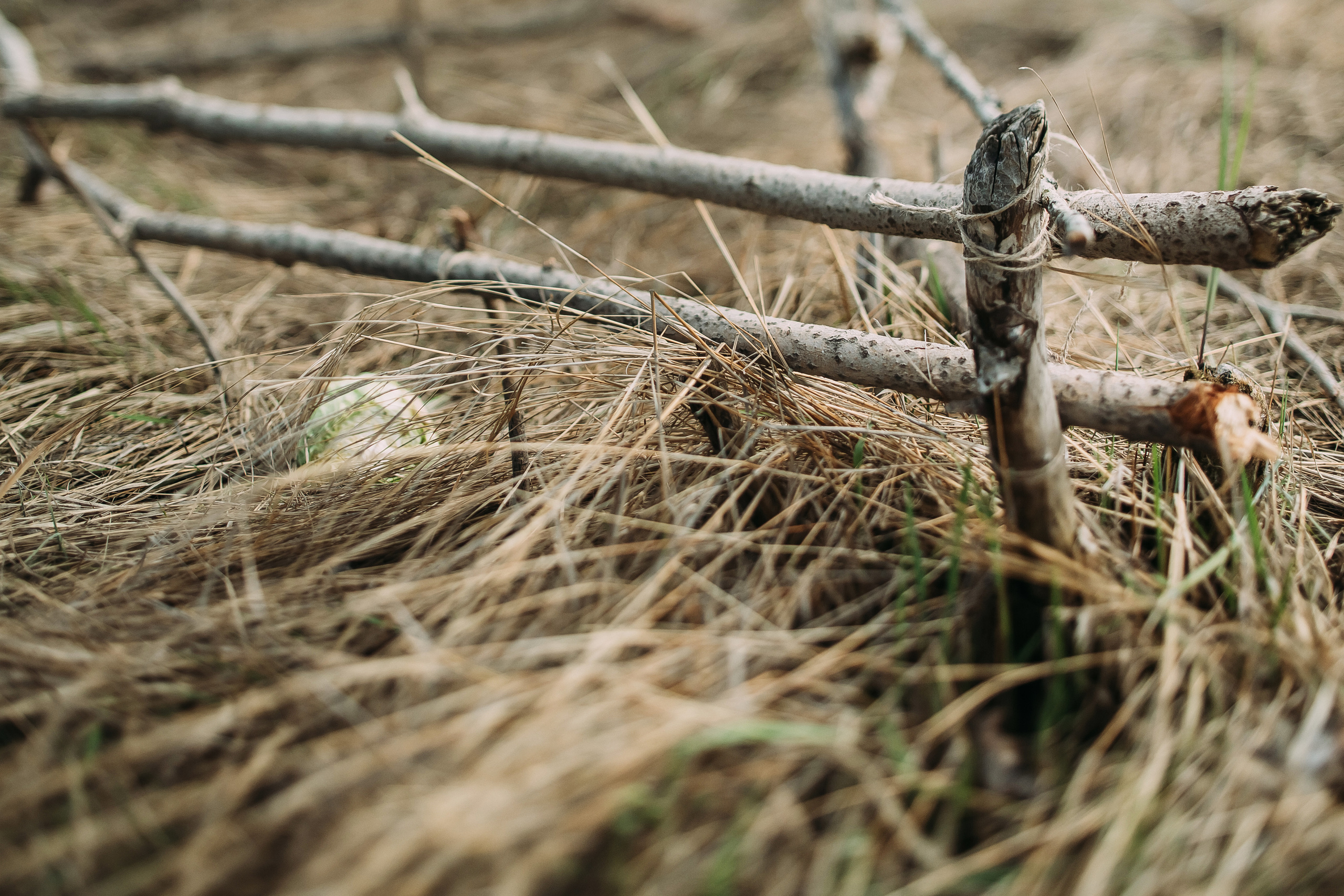Том Сойер. Фотограф в Красноярске Гетманова Мила