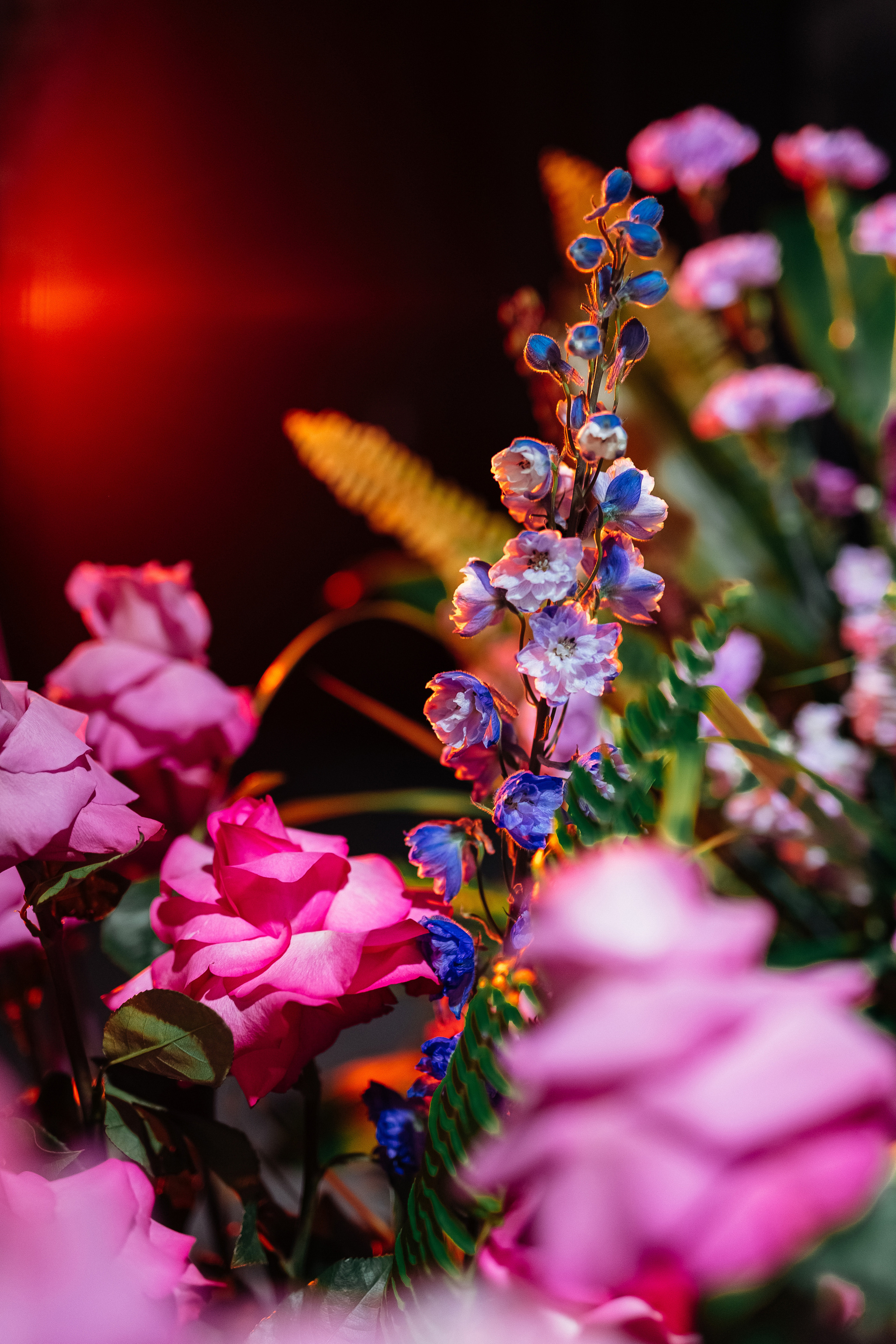 Алёна+Алексей. Фотограф в Красноярске Гетманова Мила