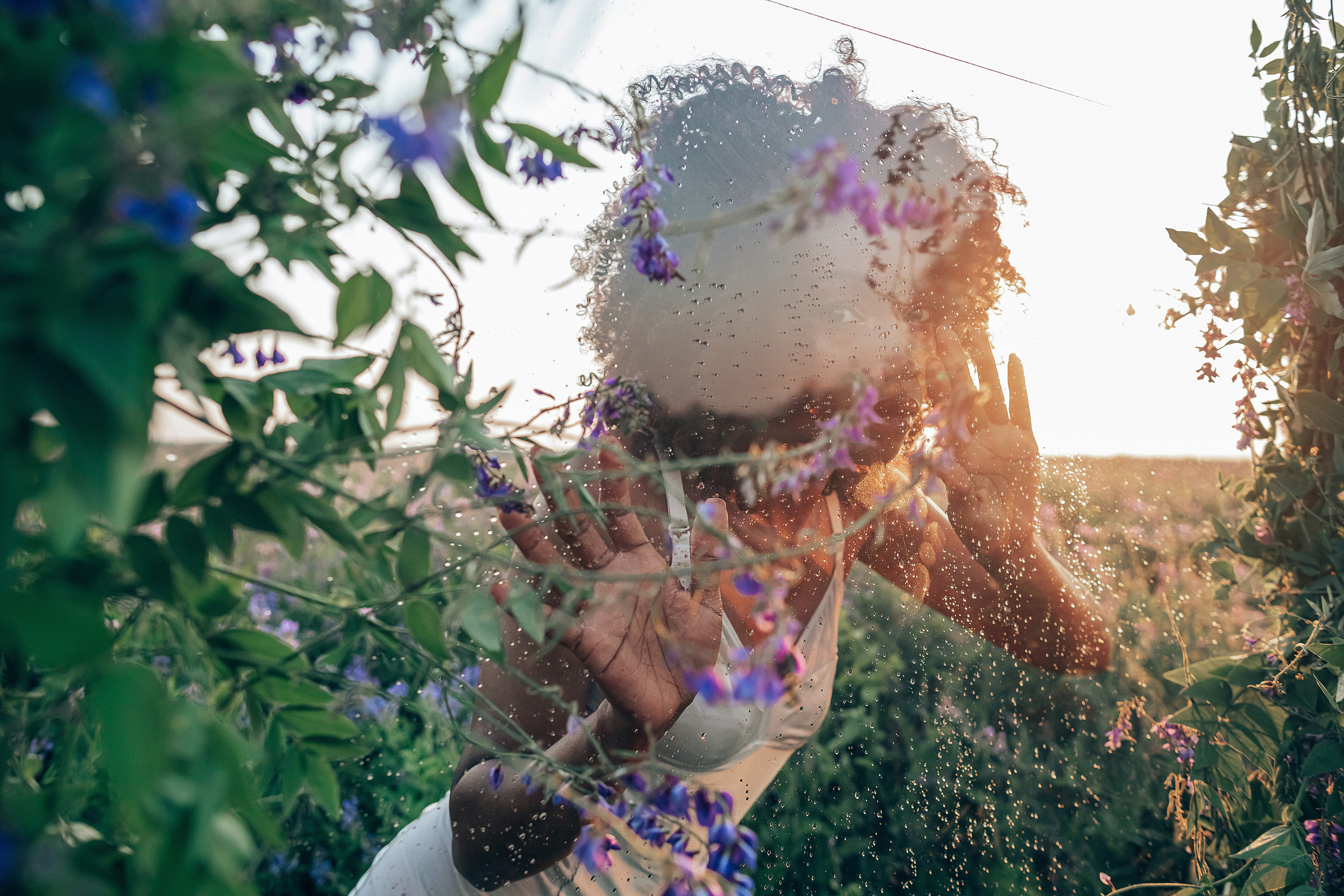 Иван-чай. Фотограф в Красноярске Гетманова Мила