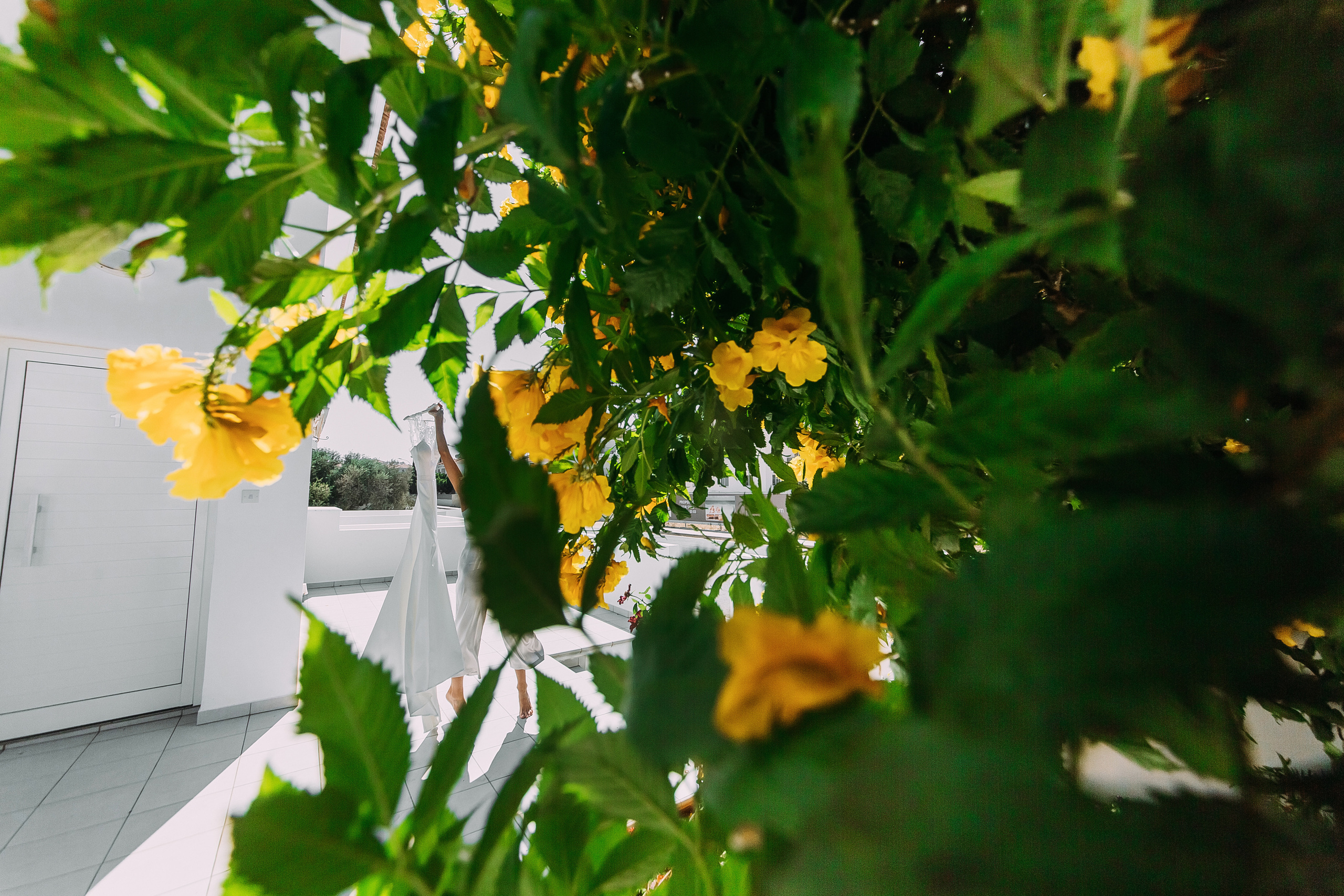 Катерина+Александр. Кипр. Фотограф в Красноярске Гетманова Мила