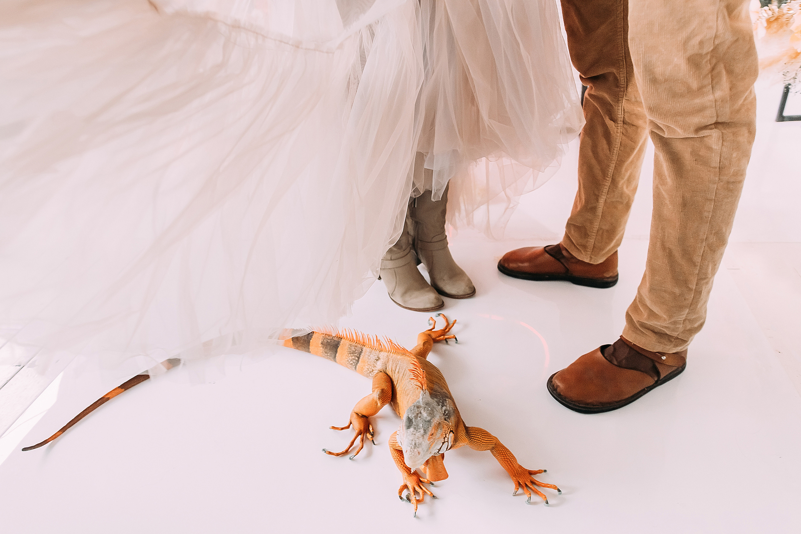 АвроГуччи. Фотограф в Красноярске Гетманова Мила