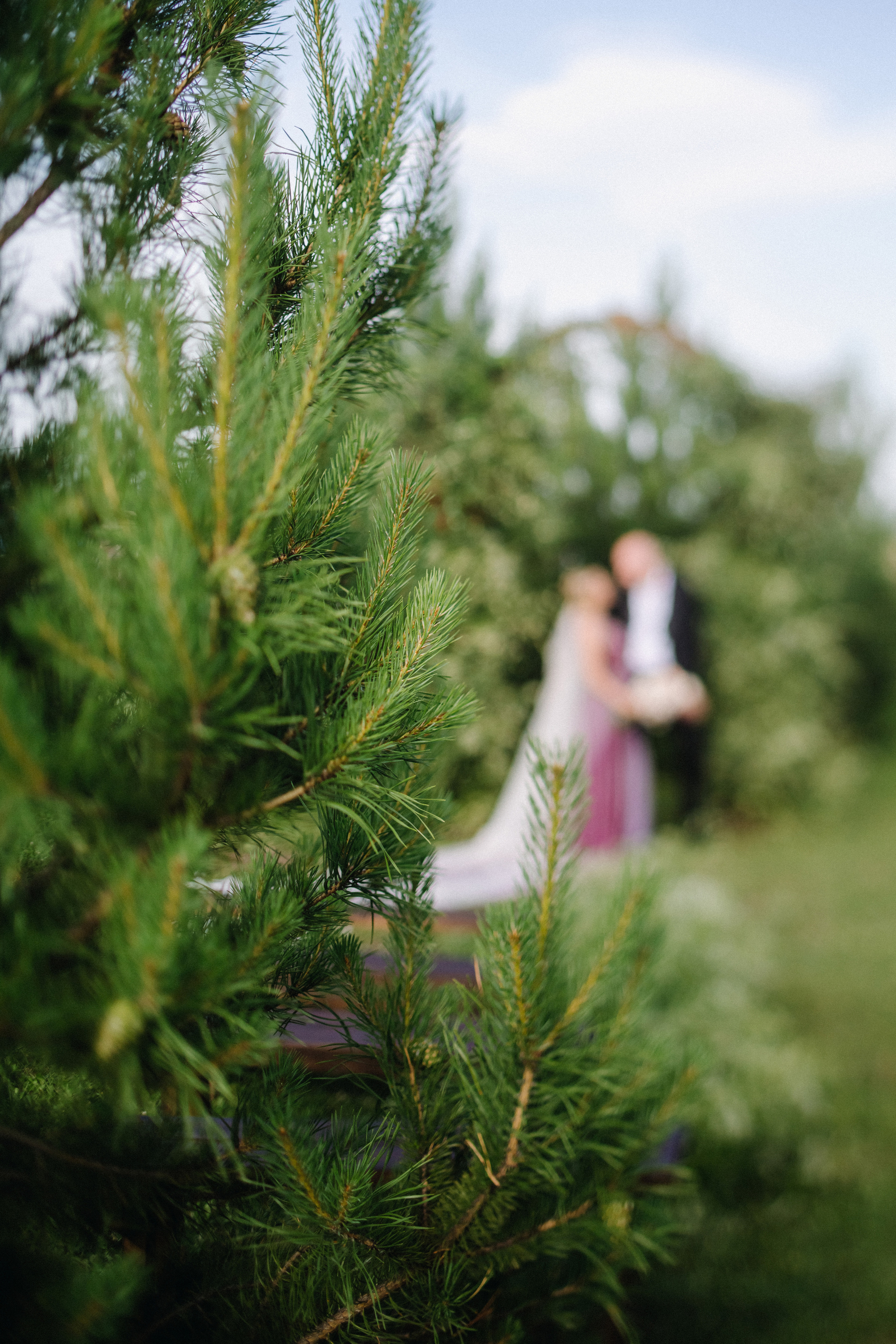 Татьяна+Иван. Фотограф в Красноярске Гетманова Мила