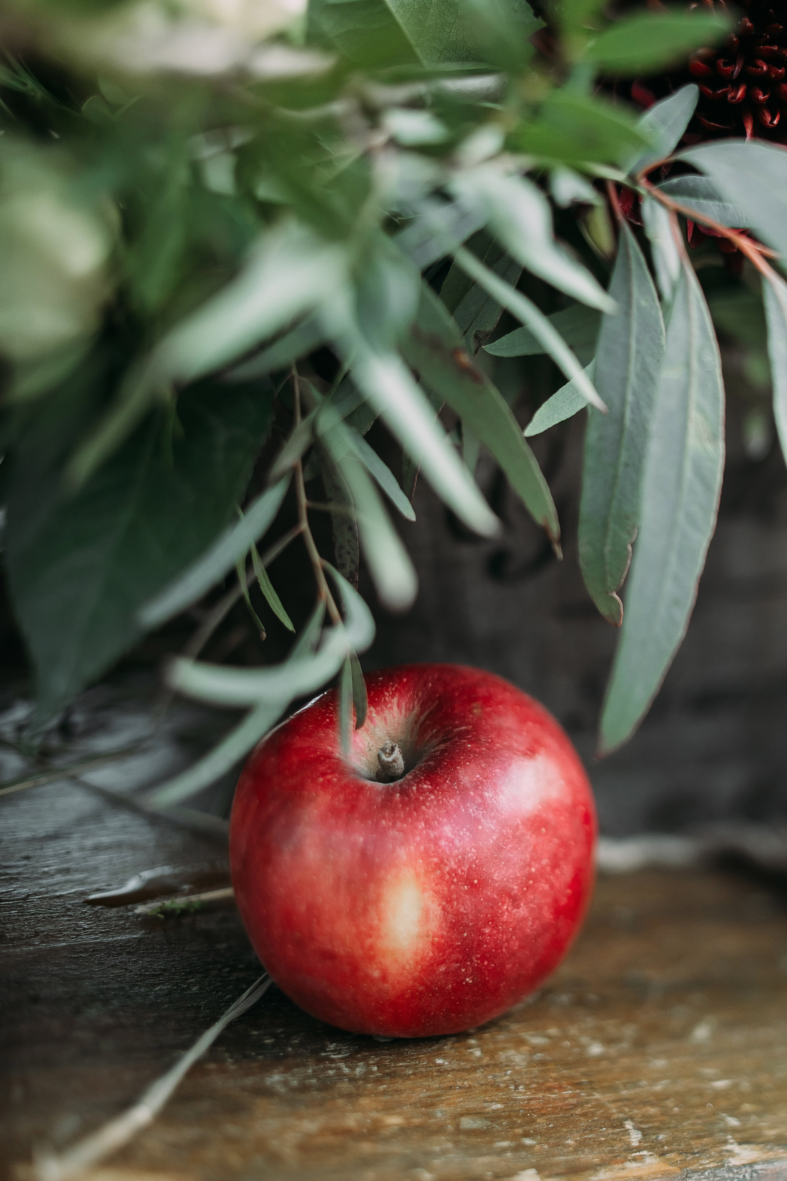 Том Сойер. Фотограф в Красноярске Гетманова Мила