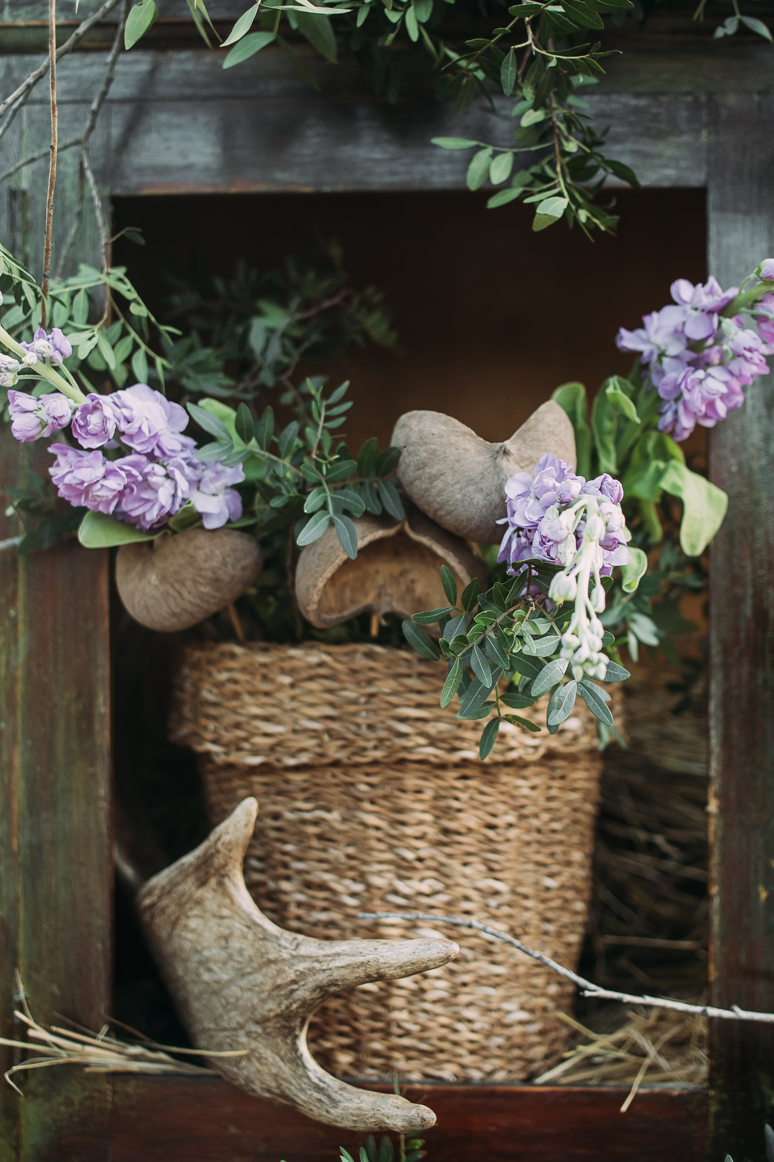 Том Сойер. Фотограф в Красноярске Гетманова Мила