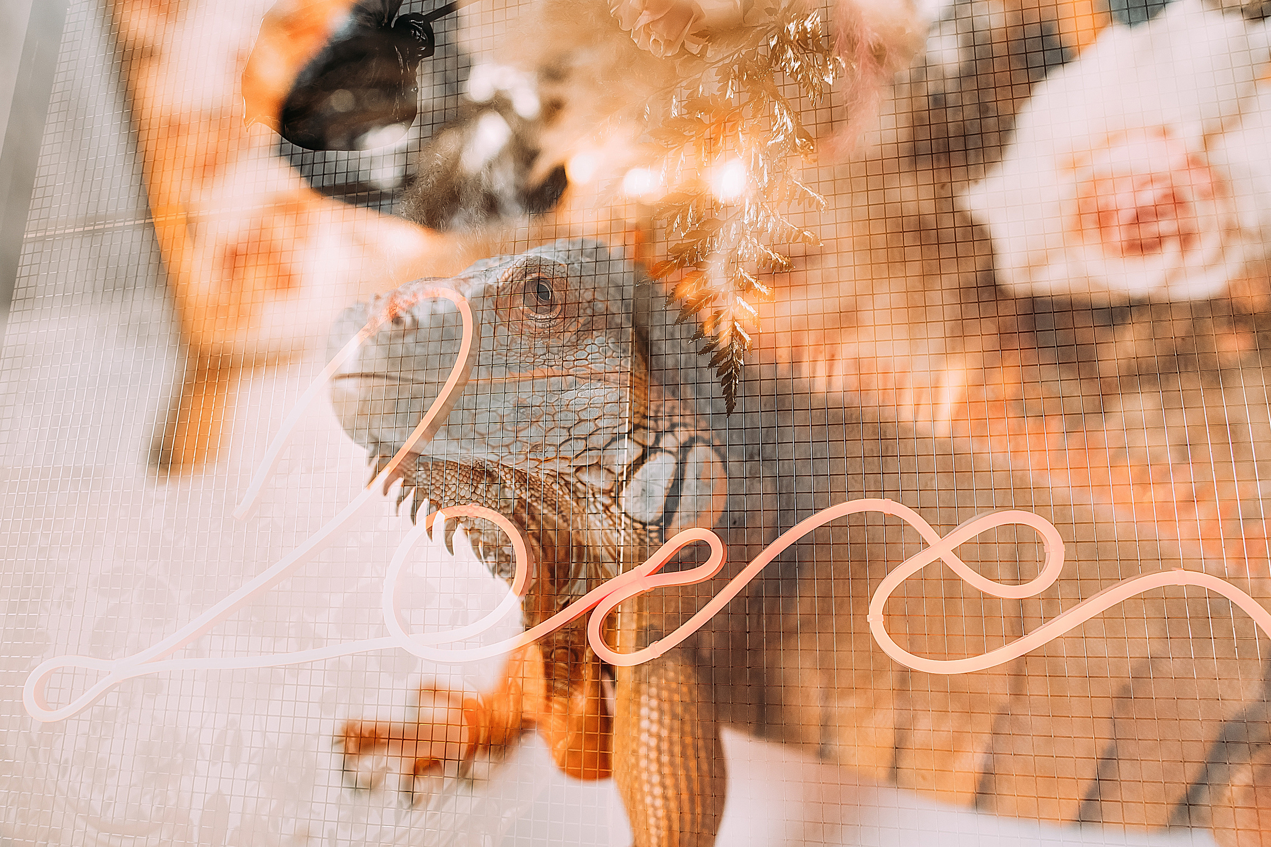 АвроГуччи. Фотограф в Красноярске Гетманова Мила