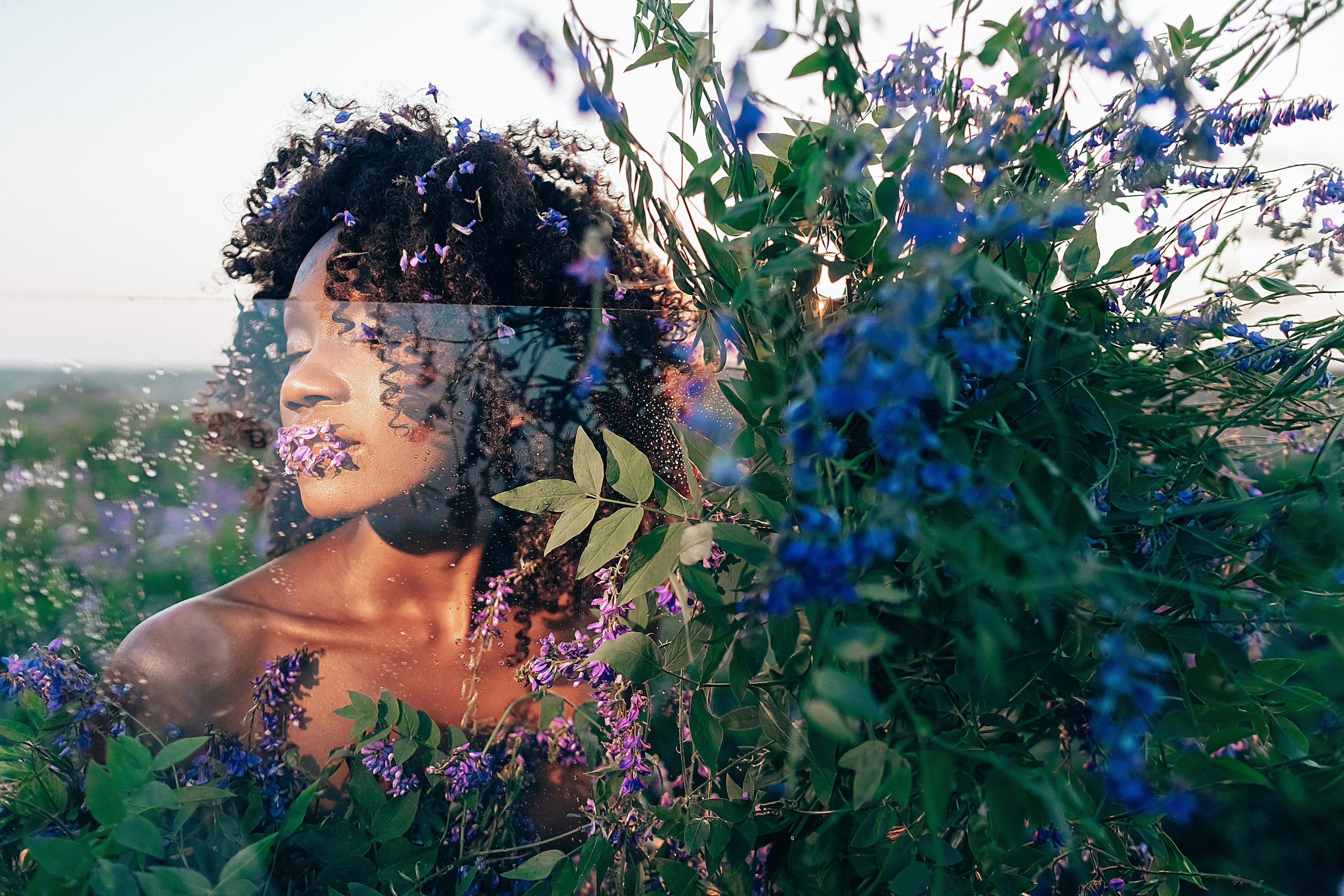 Иван-чай. Фотограф в Красноярске Гетманова Мила