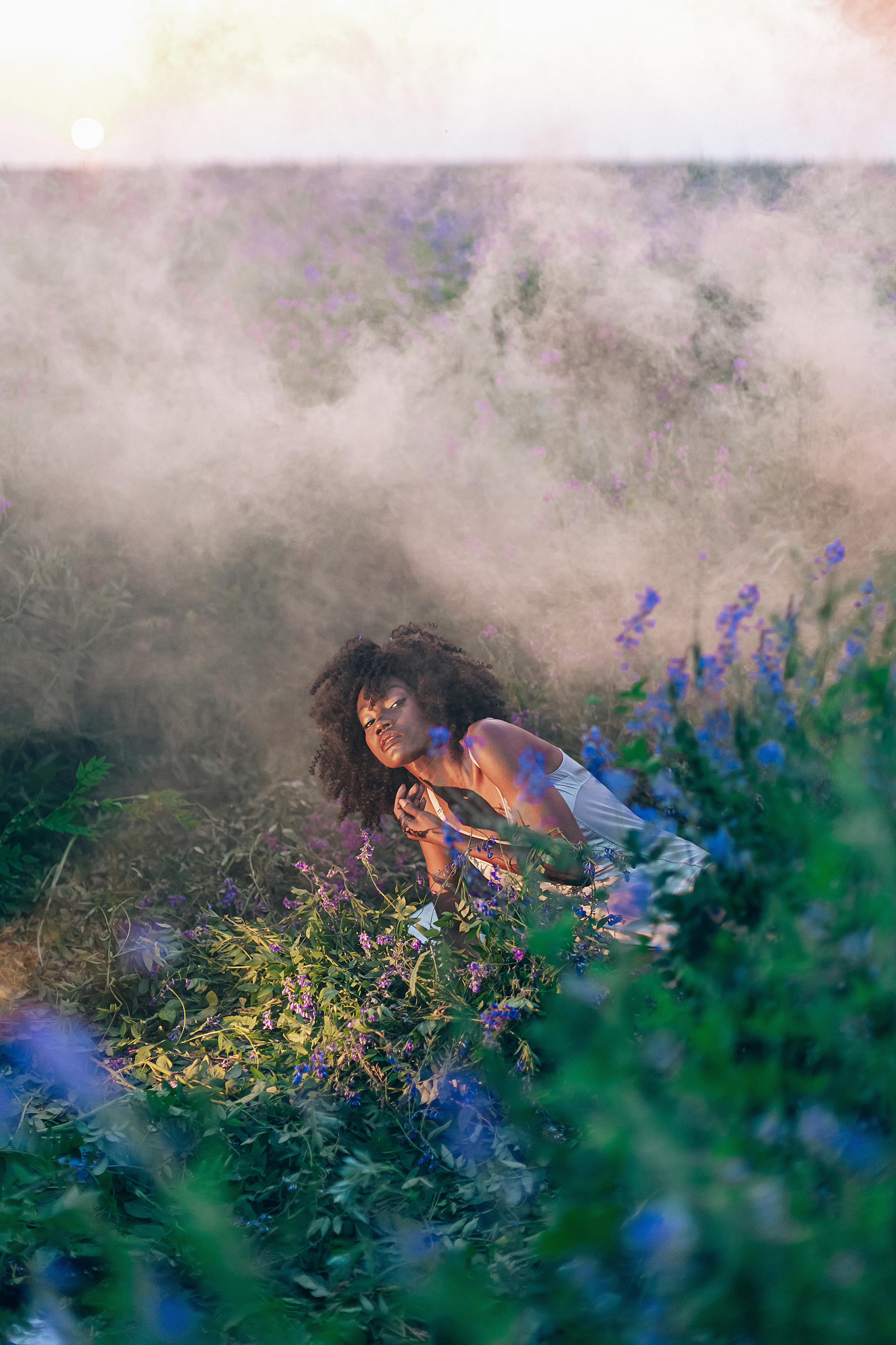 Иван-чай. Фотограф в Красноярске Гетманова Мила