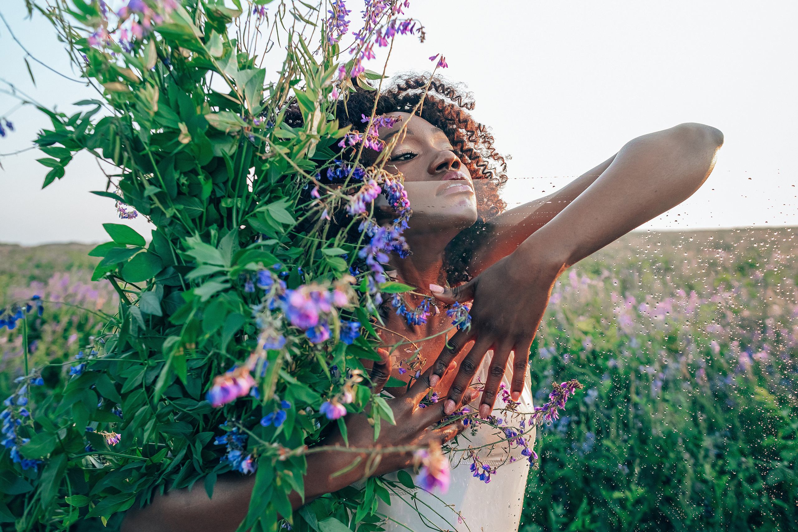 Иван-чай. Фотограф в Красноярске Гетманова Мила