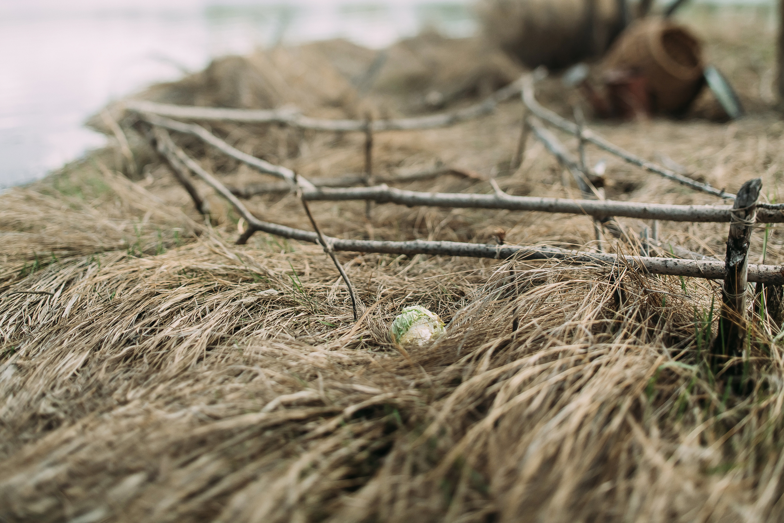 Том Сойер. Фотограф в Красноярске Гетманова Мила