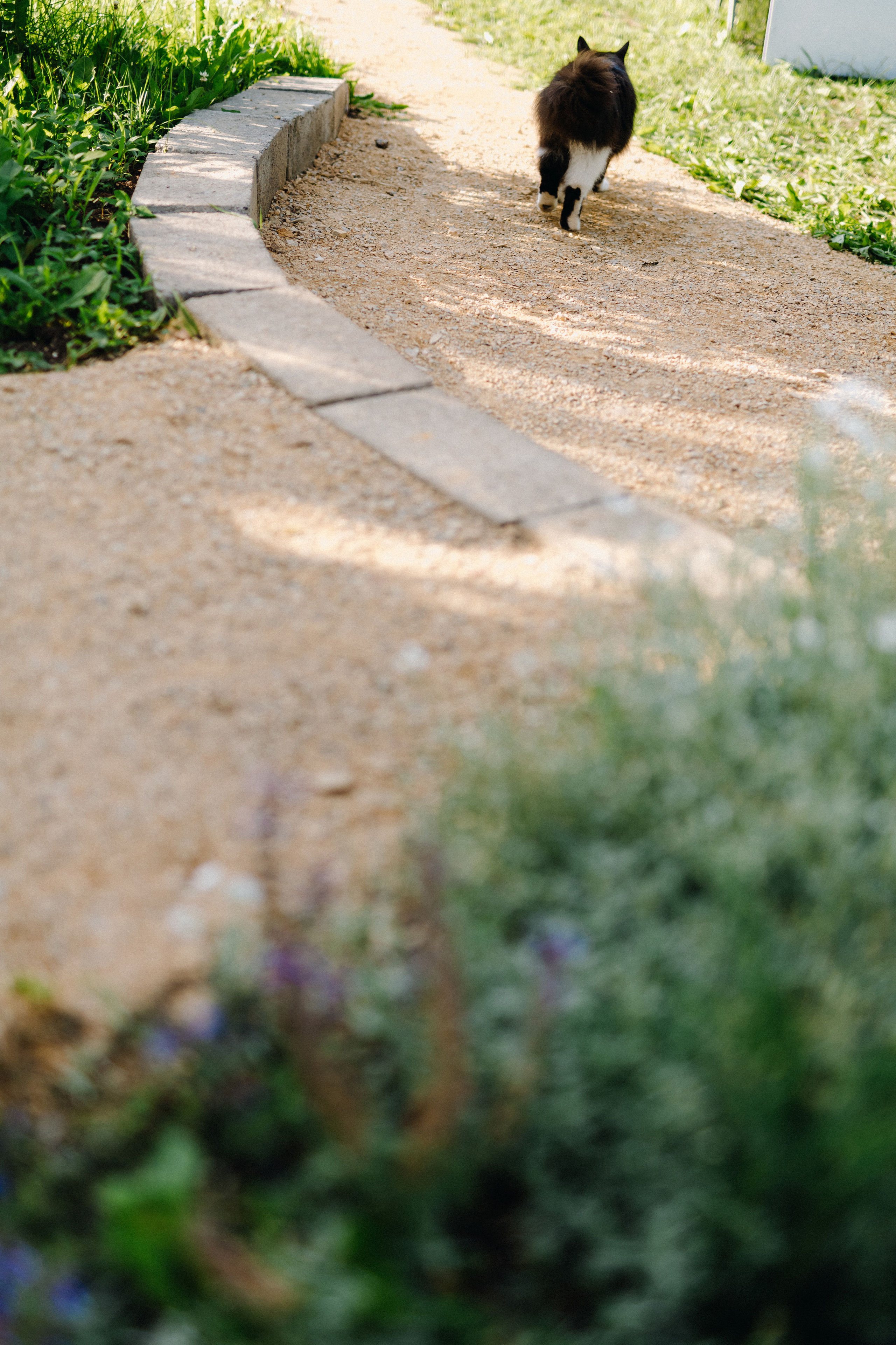 Татьяна+Иван. Фотограф в Красноярске Гетманова Мила