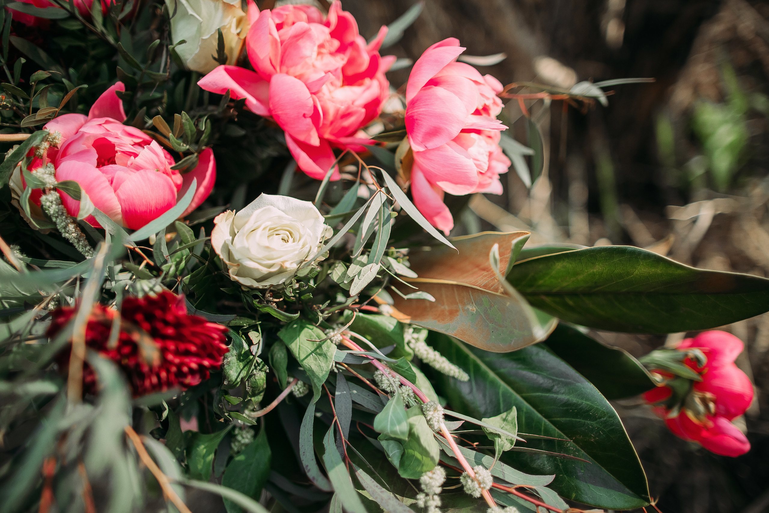 Том Сойер. Фотограф в Красноярске Гетманова Мила