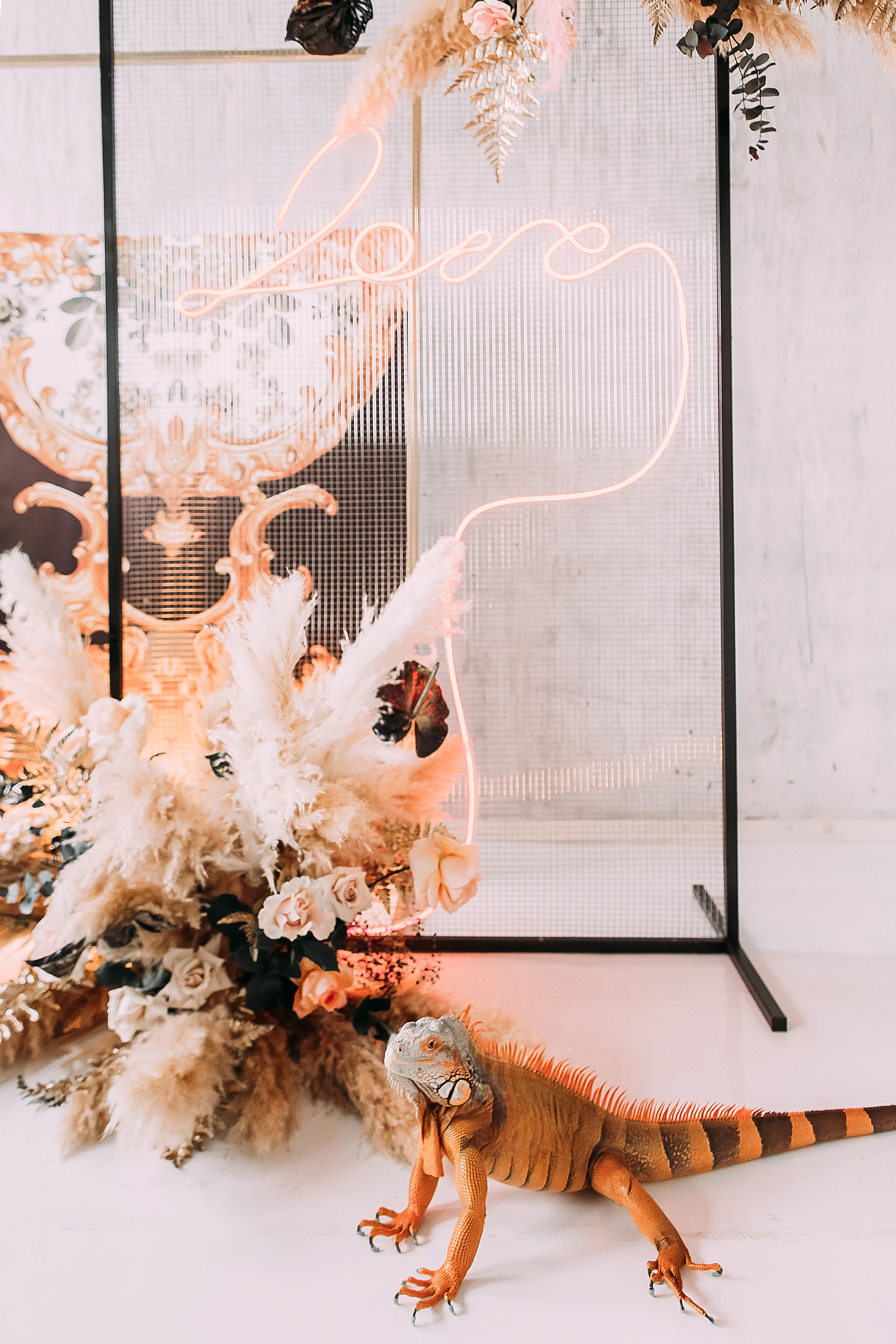 АвроГуччи. Фотограф в Красноярске Гетманова Мила