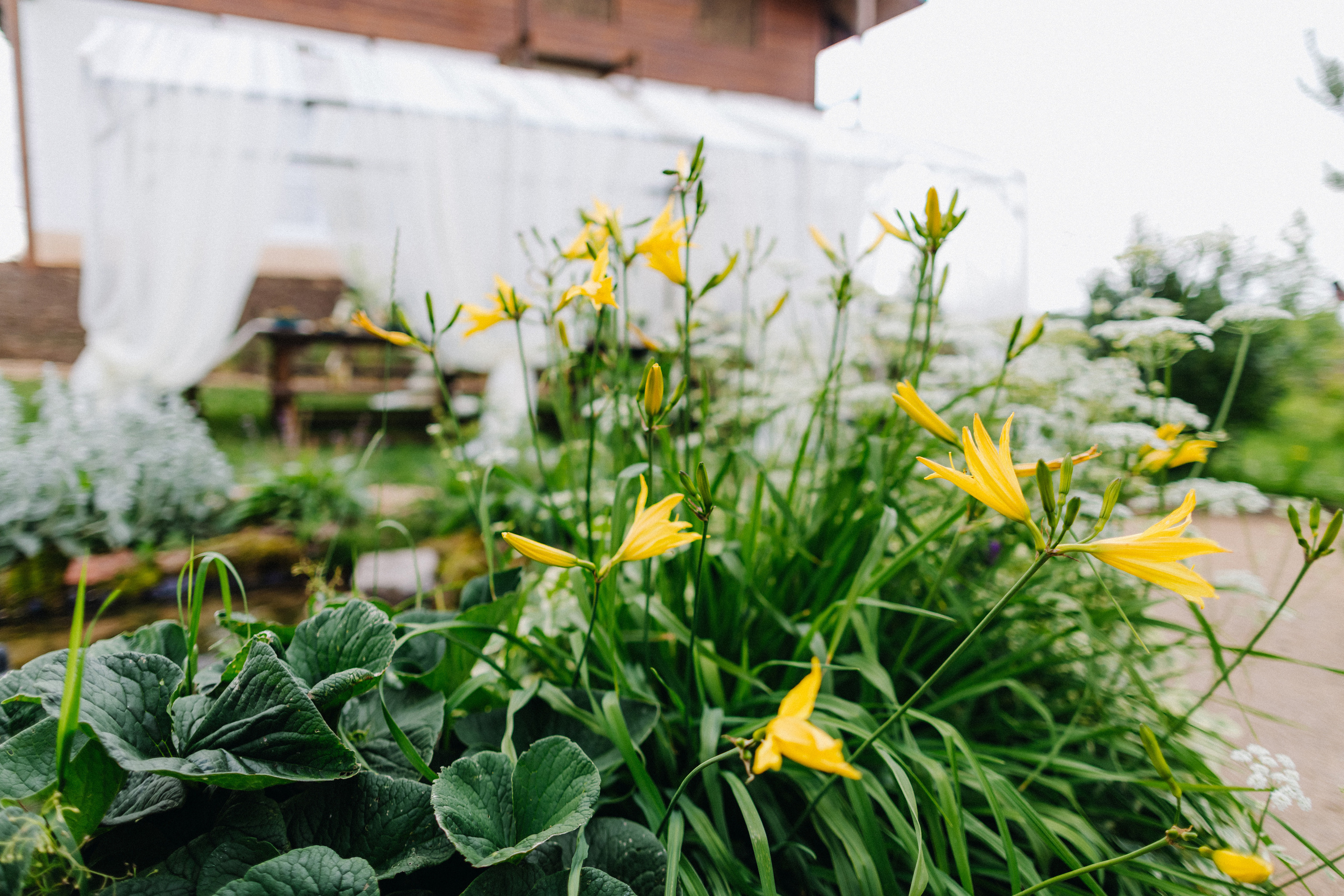 Татьяна+Иван. Фотограф в Красноярске Гетманова Мила