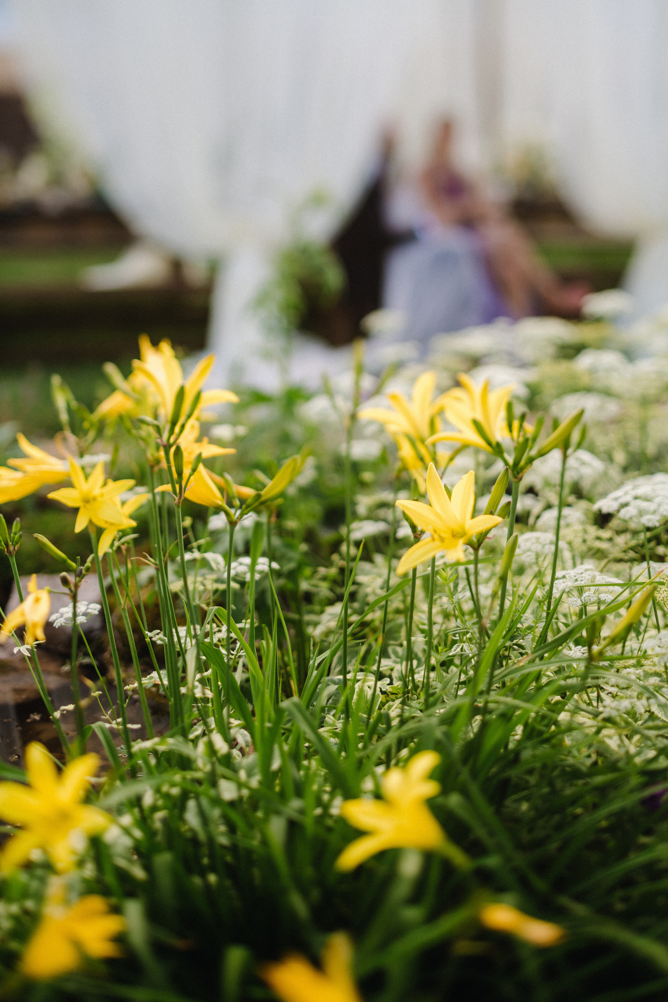 Татьяна+Иван. Фотограф в Красноярске Гетманова Мила