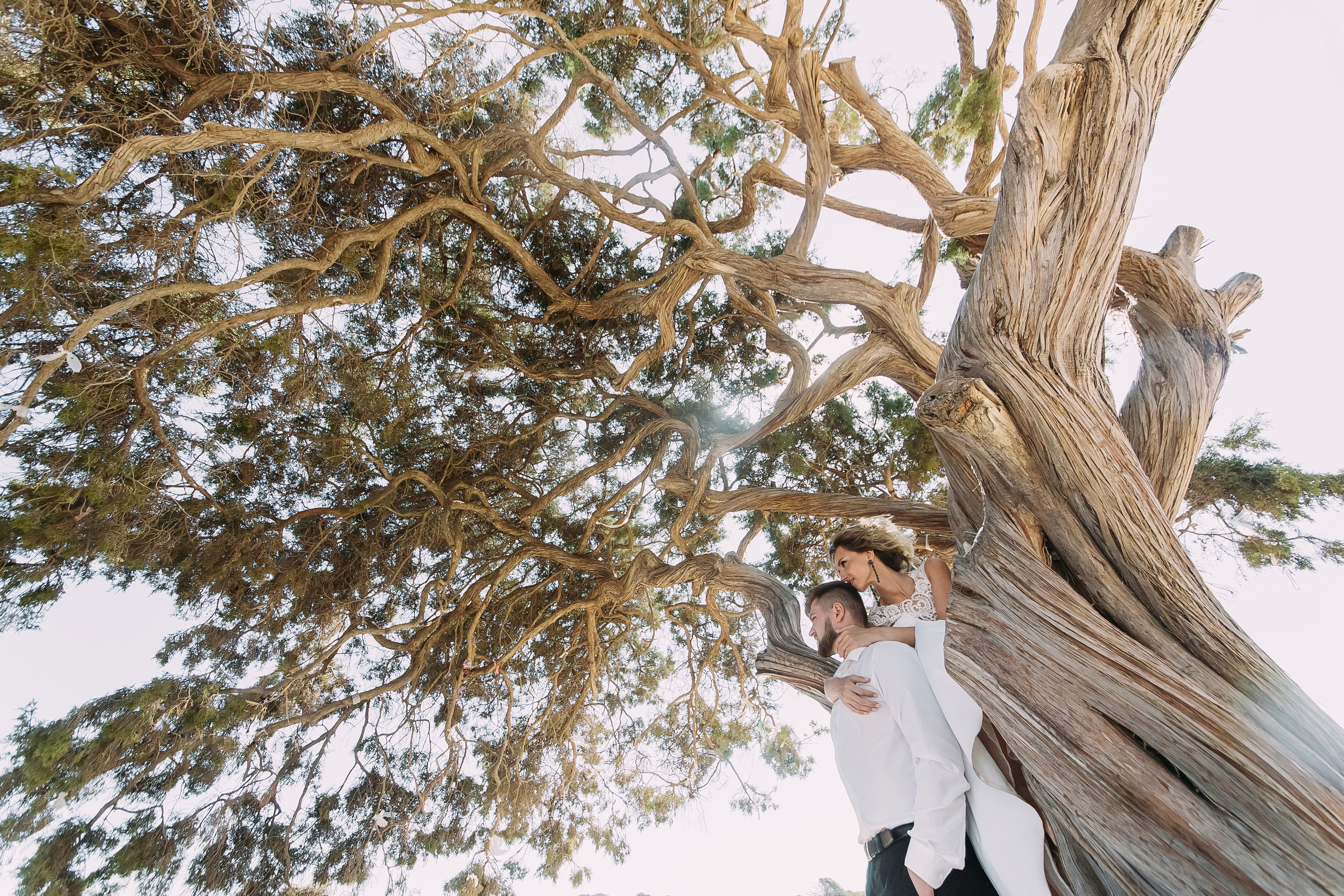 Катерина+Александр. Кипр. Фотограф в Красноярске Гетманова Мила