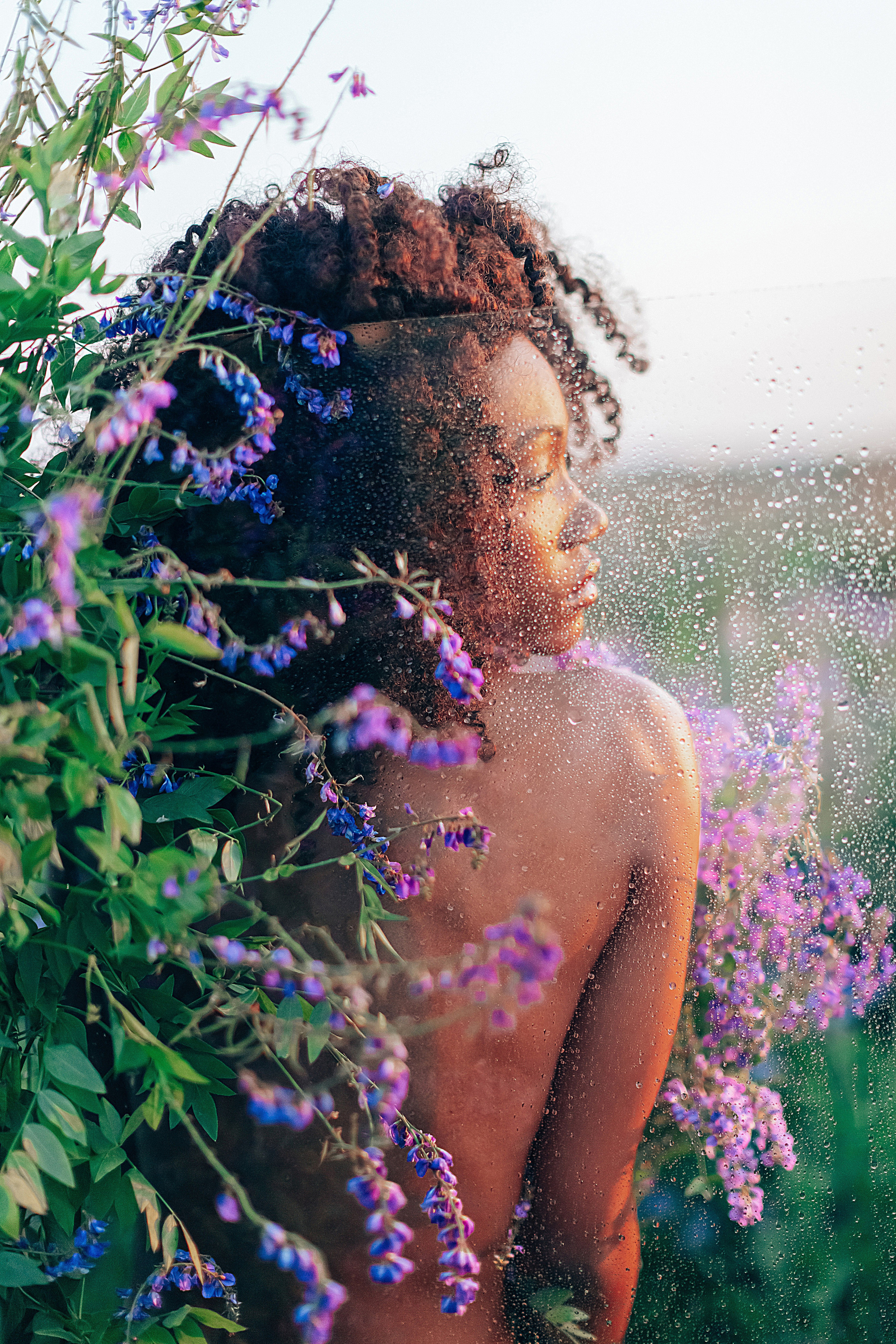 Иван-чай. Фотограф в Красноярске Гетманова Мила