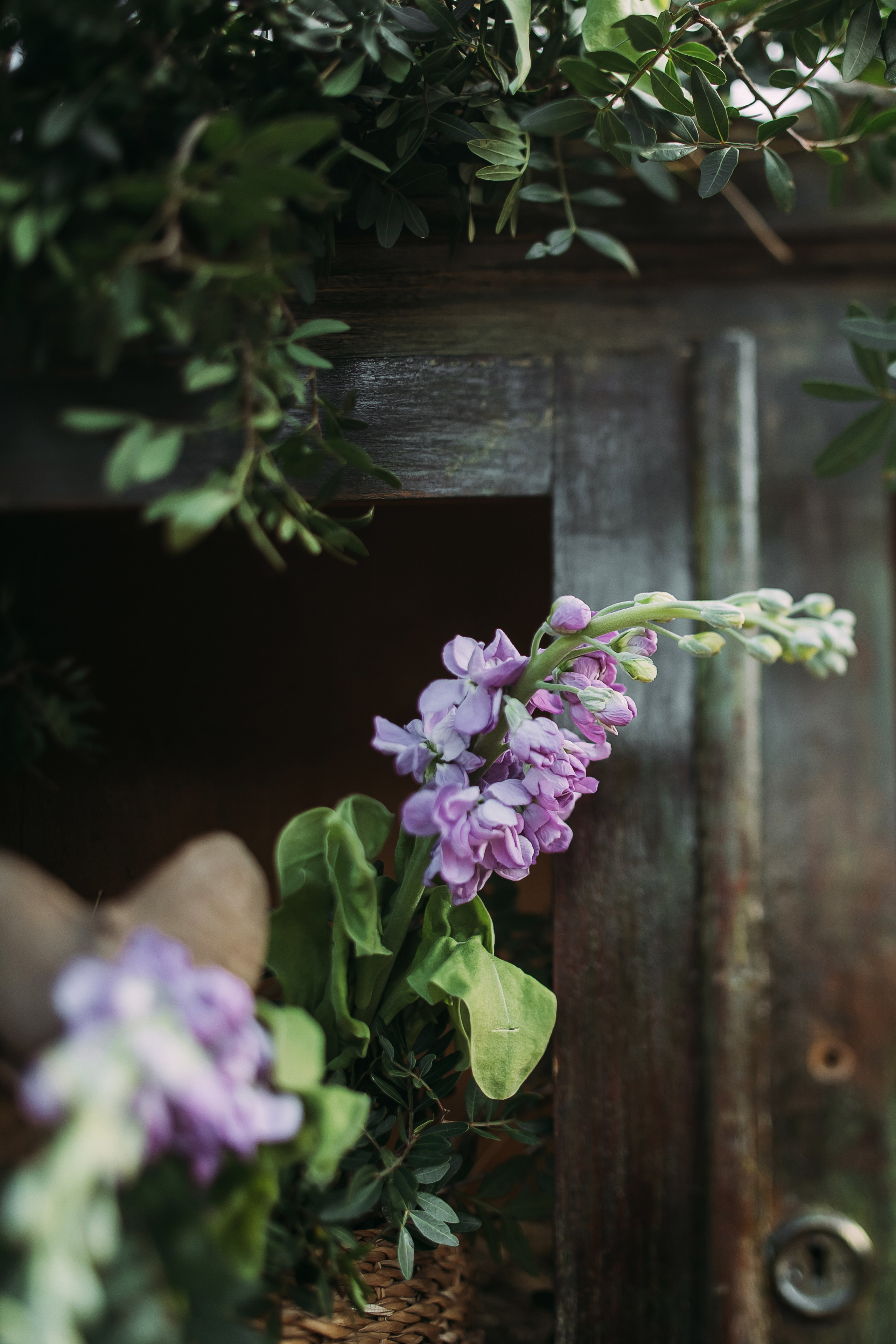 Том Сойер. Фотограф в Красноярске Гетманова Мила