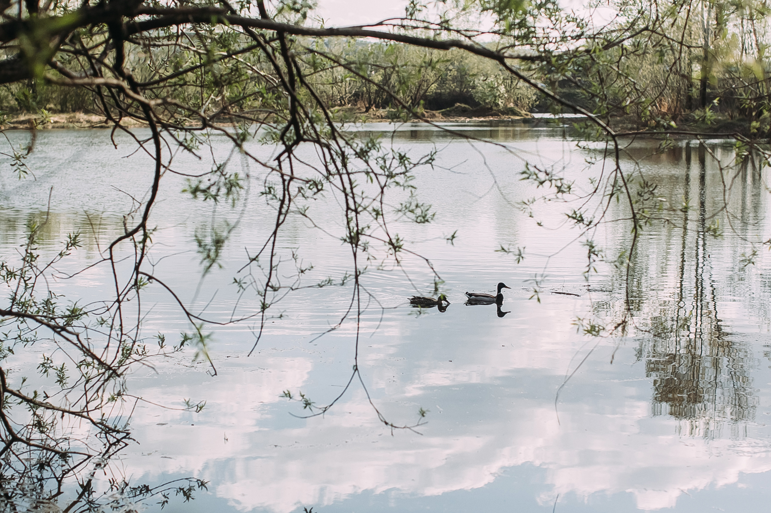 Том Сойер. Фотограф в Красноярске Гетманова Мила