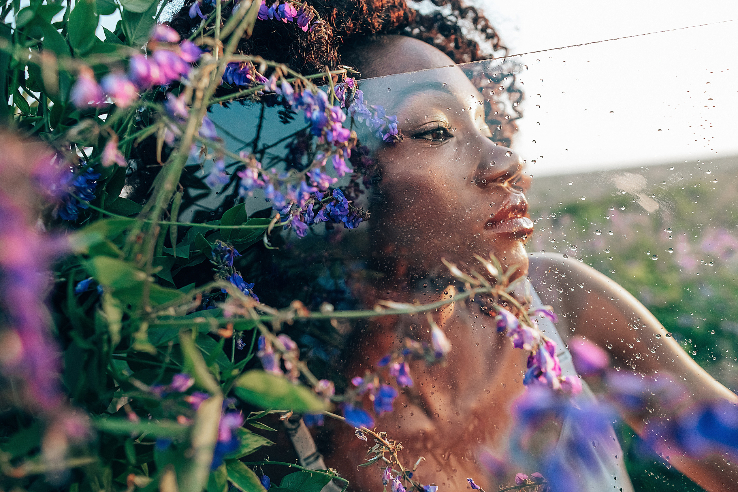 Иван-чай. Фотограф в Красноярске Гетманова Мила