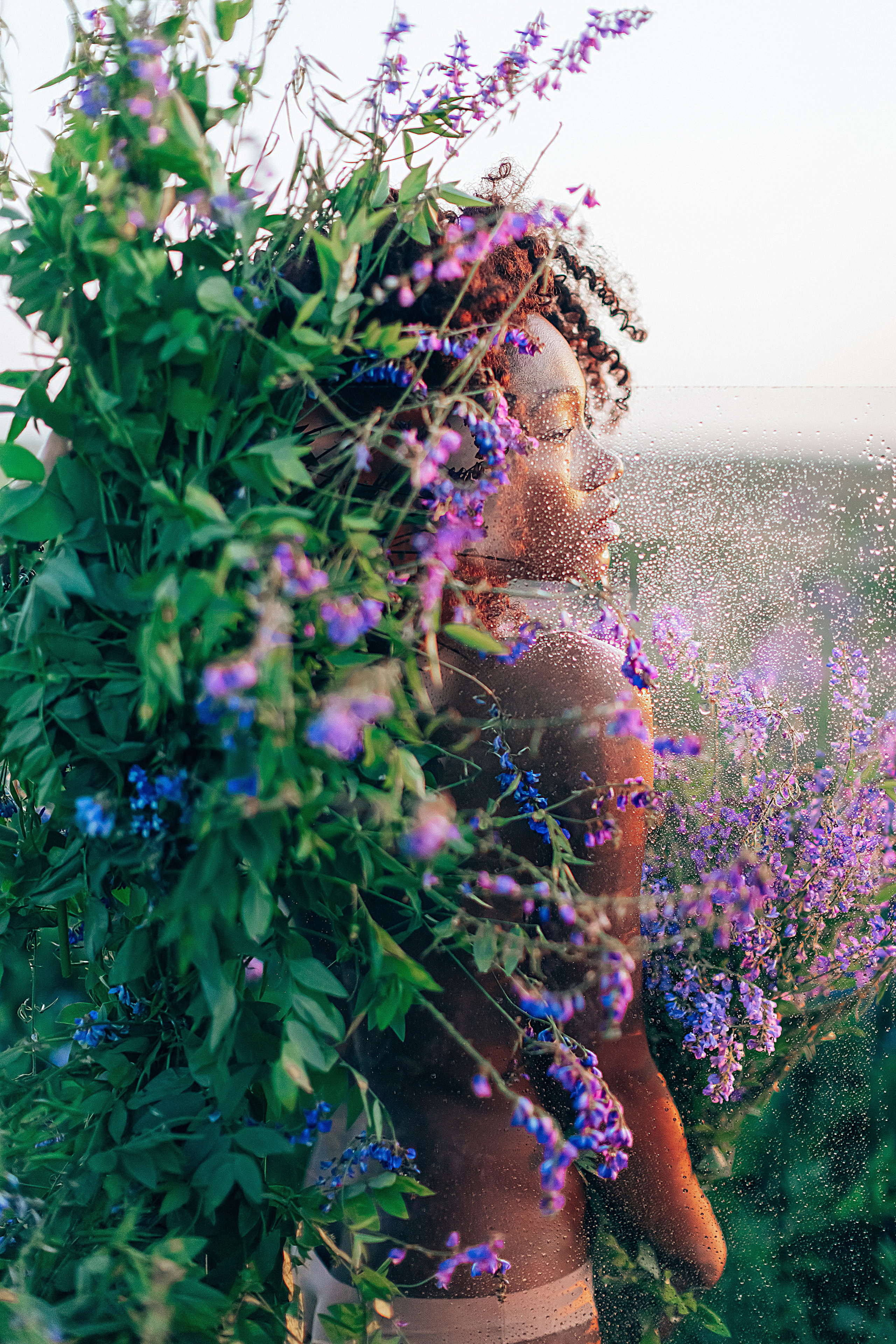 Иван-чай. Фотограф в Красноярске Гетманова Мила