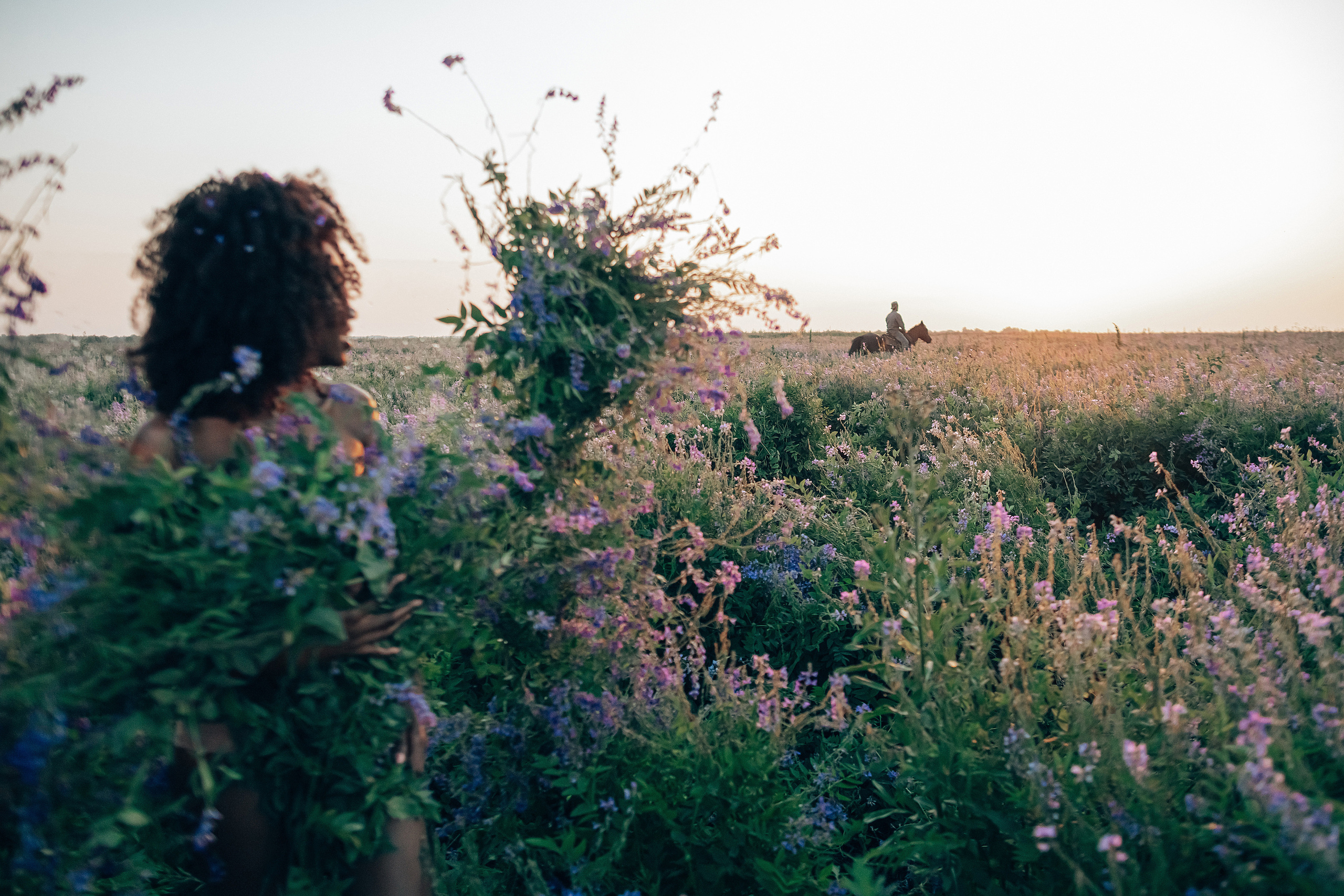 Иван-чай. Фотограф в Красноярске Гетманова Мила