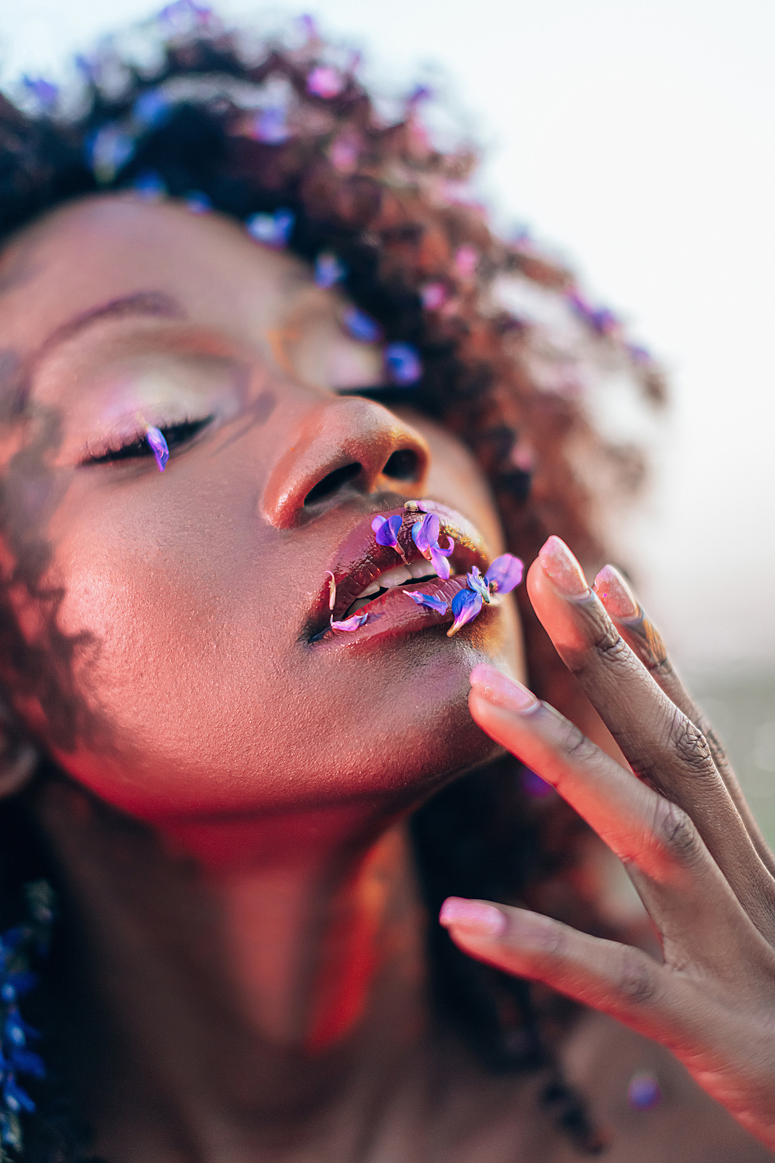 Иван-чай. Фотограф в Красноярске Гетманова Мила