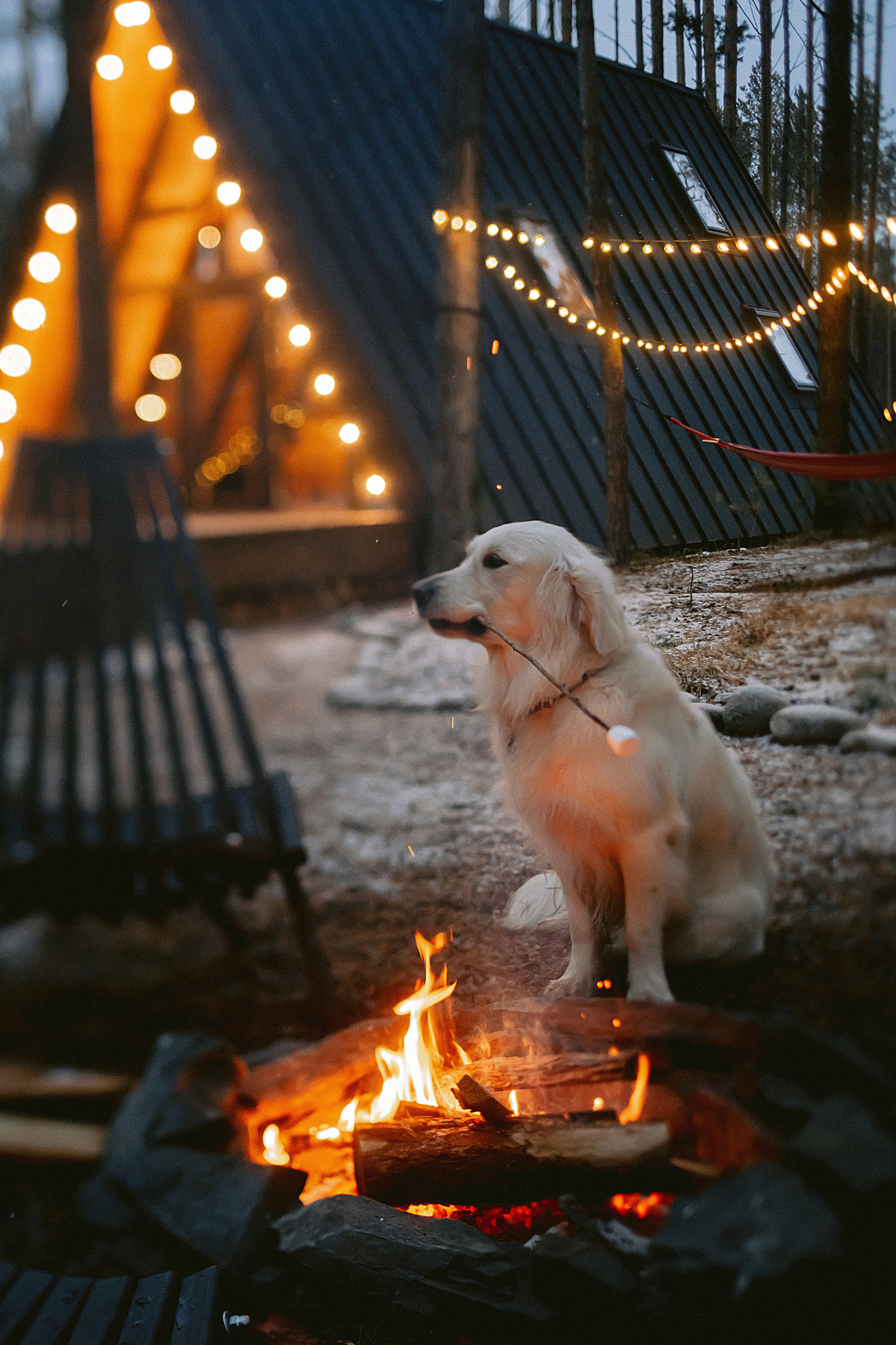 Домик в лесу. Фотограф в Красноярске Гетманова Мила