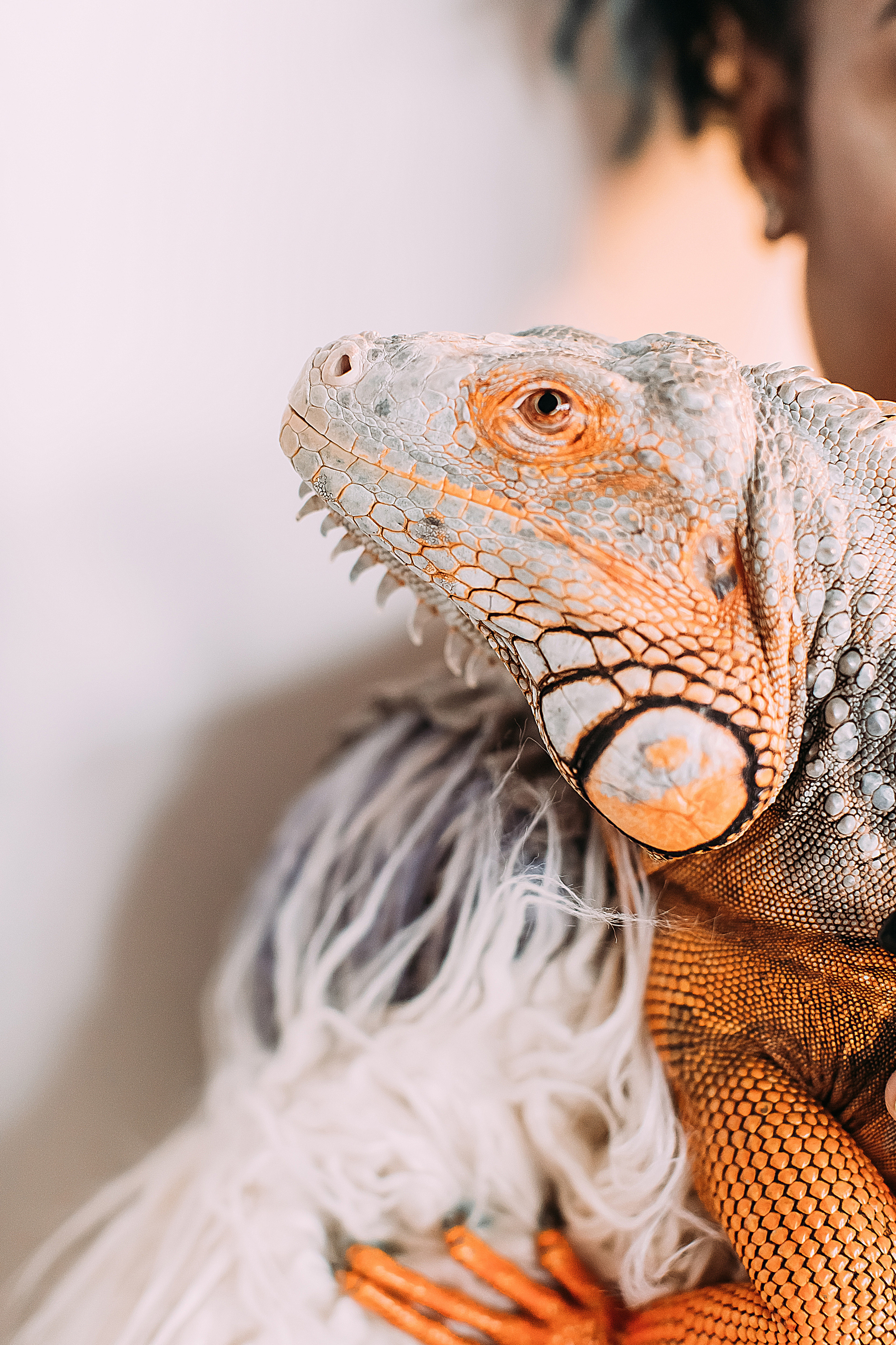 АвроГуччи. Фотограф в Красноярске Гетманова Мила