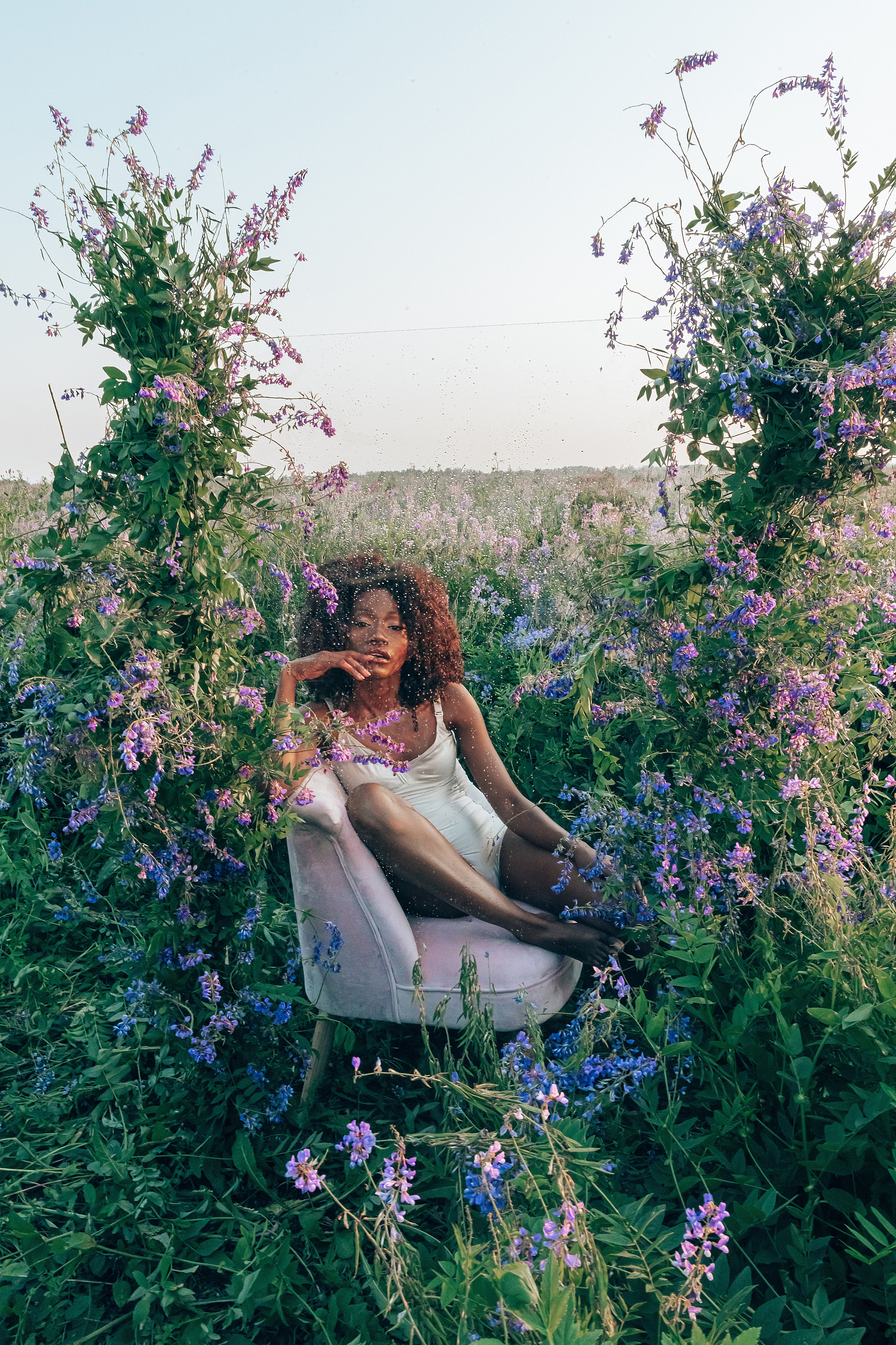 Иван-чай. Фотограф в Красноярске Гетманова Мила