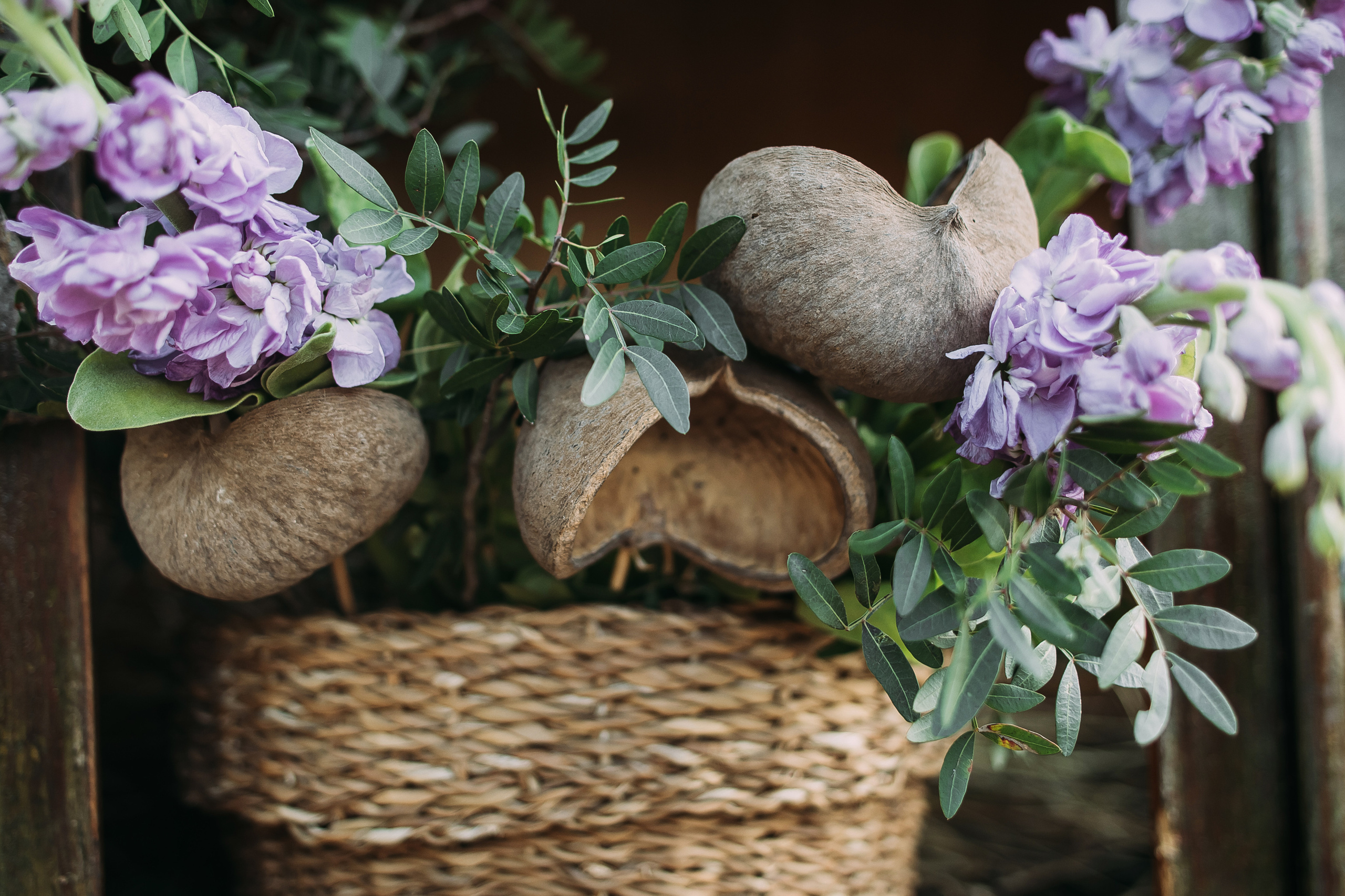 Том Сойер. Фотограф в Красноярске Гетманова Мила