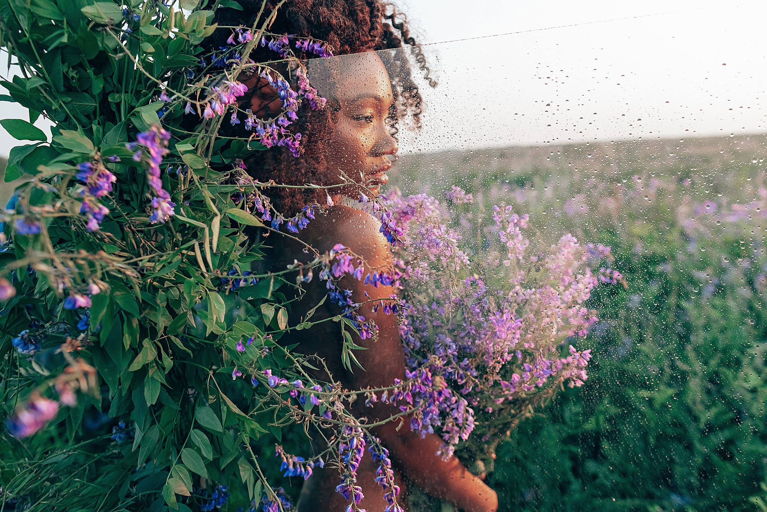 Иван-чай. Фотограф в Красноярске Гетманова Мила