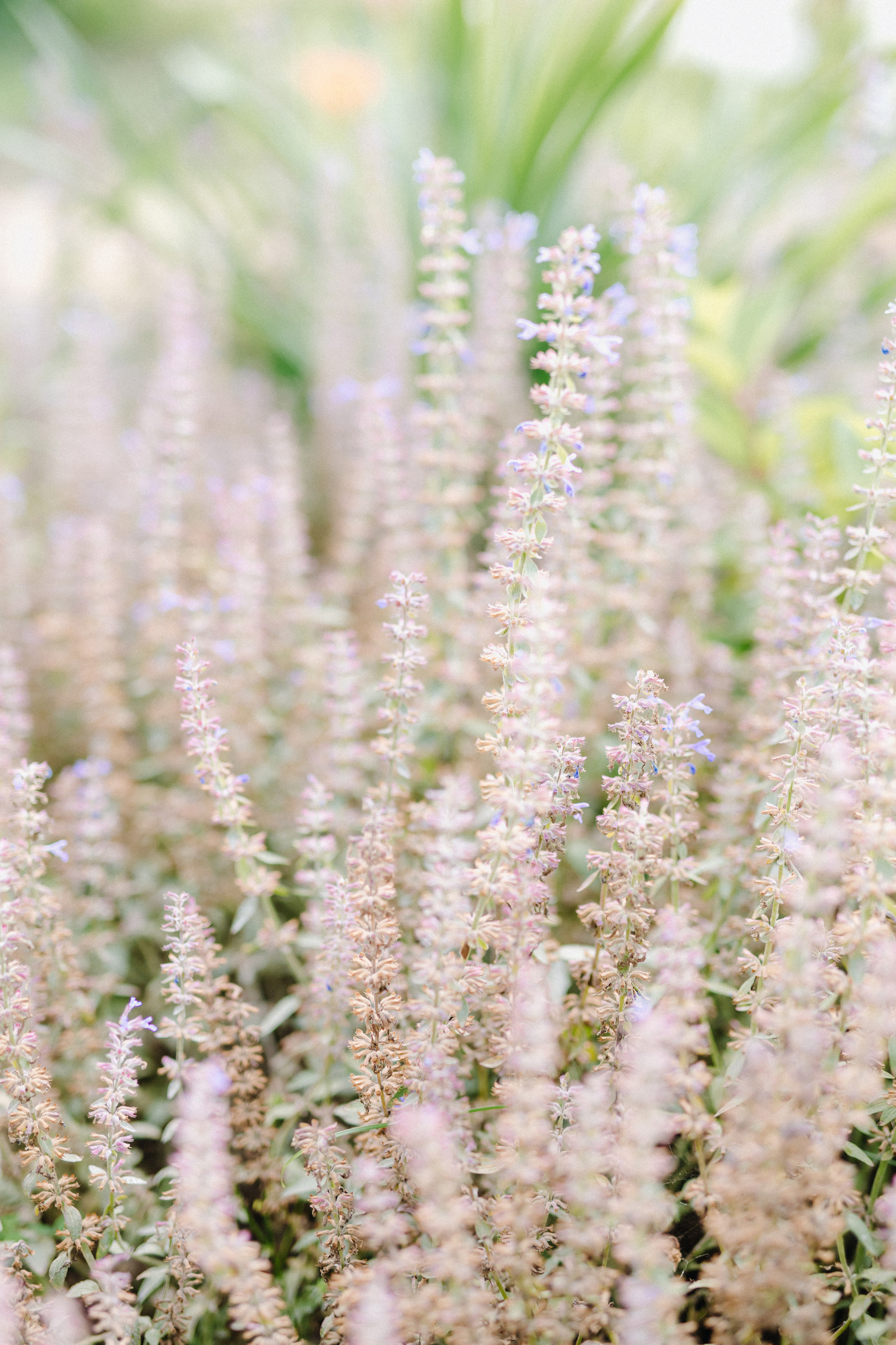 Татьяна+Иван. Фотограф в Красноярске Гетманова Мила