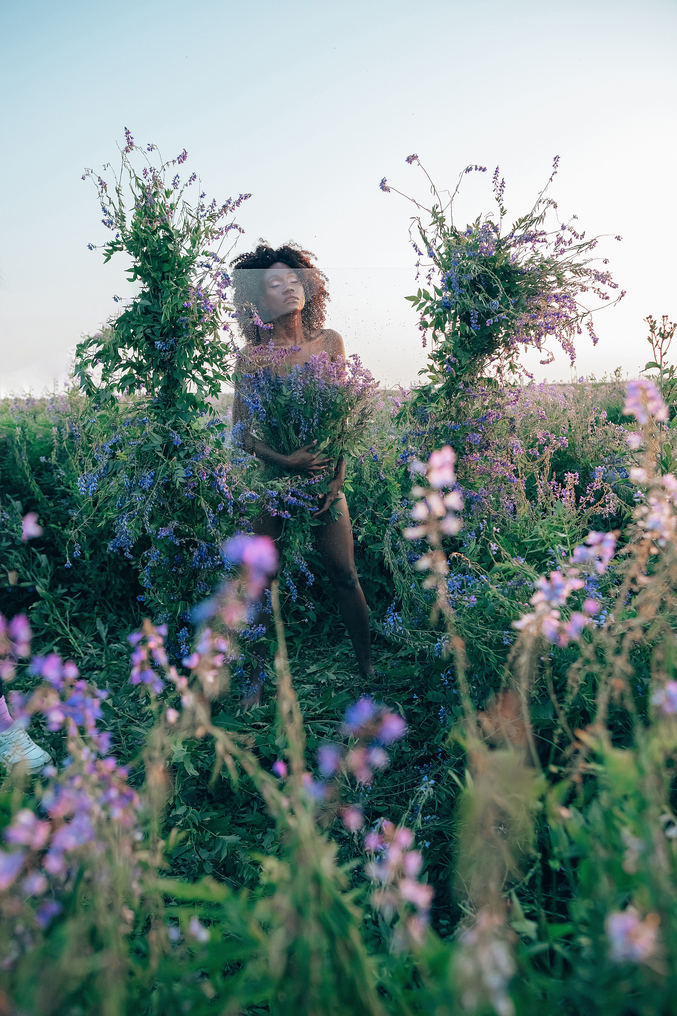 Иван-чай. Фотограф в Красноярске Гетманова Мила