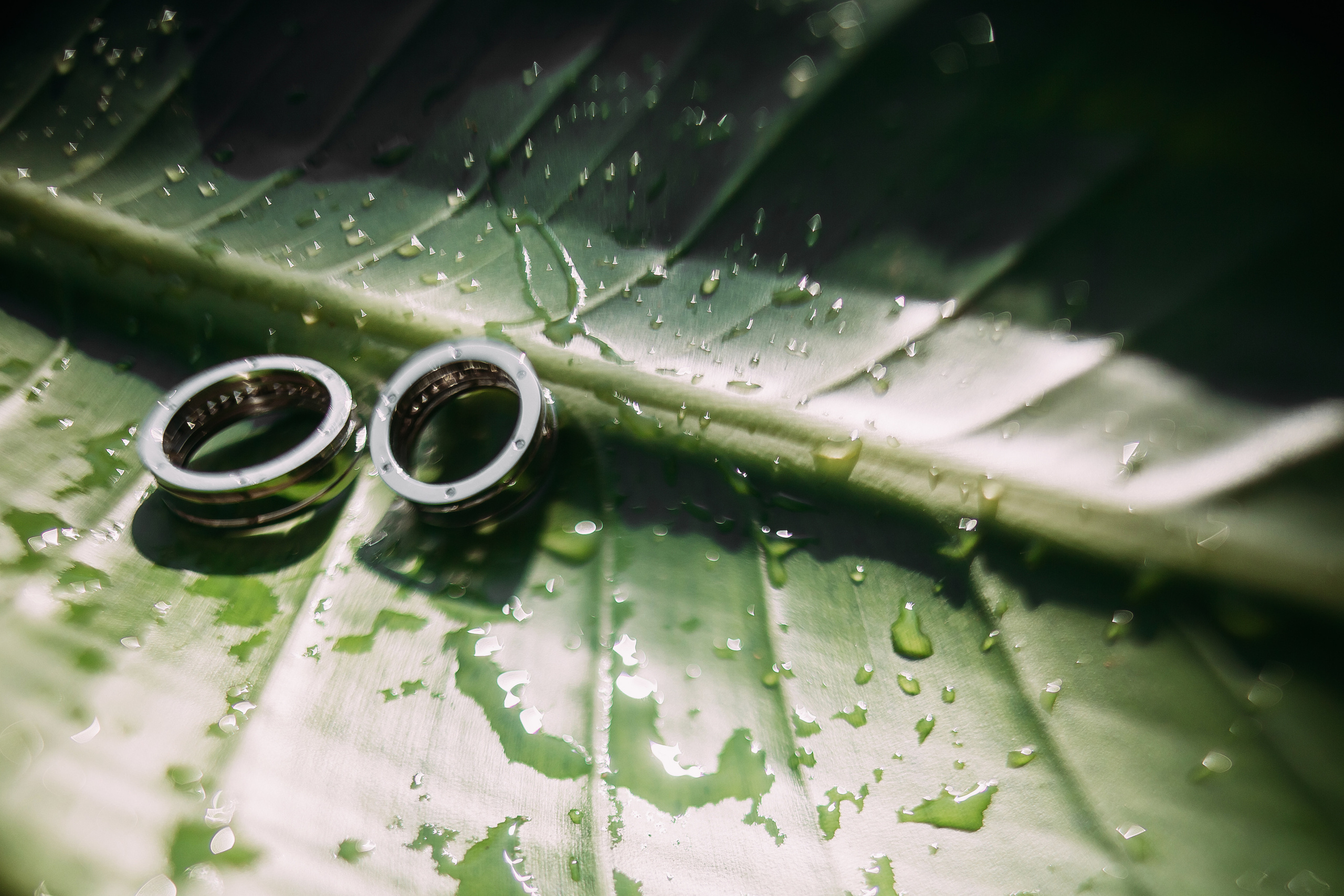 Катерина+Александр. Кипр. Фотограф в Красноярске Гетманова Мила