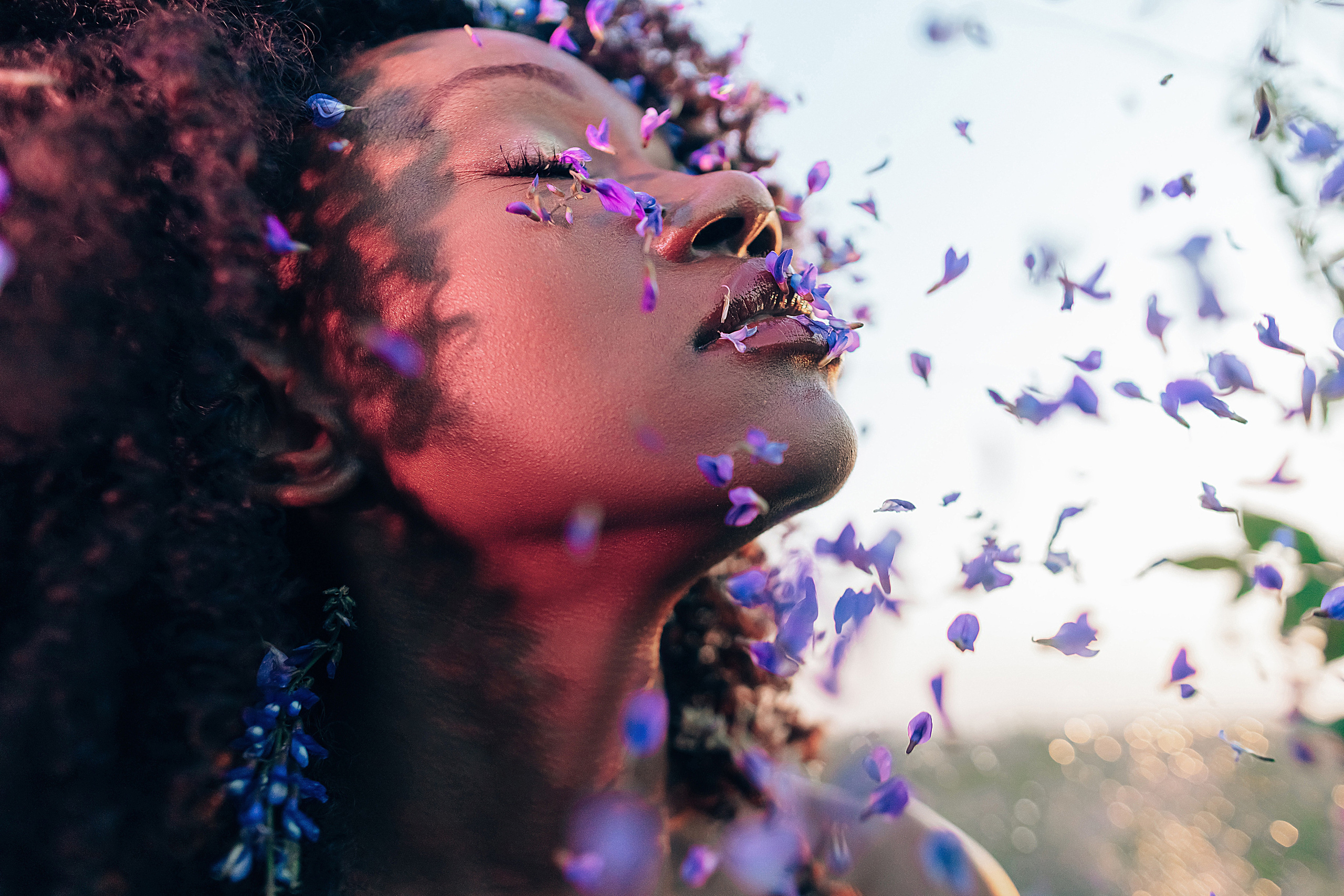 Иван-чай. Фотограф в Красноярске Гетманова Мила