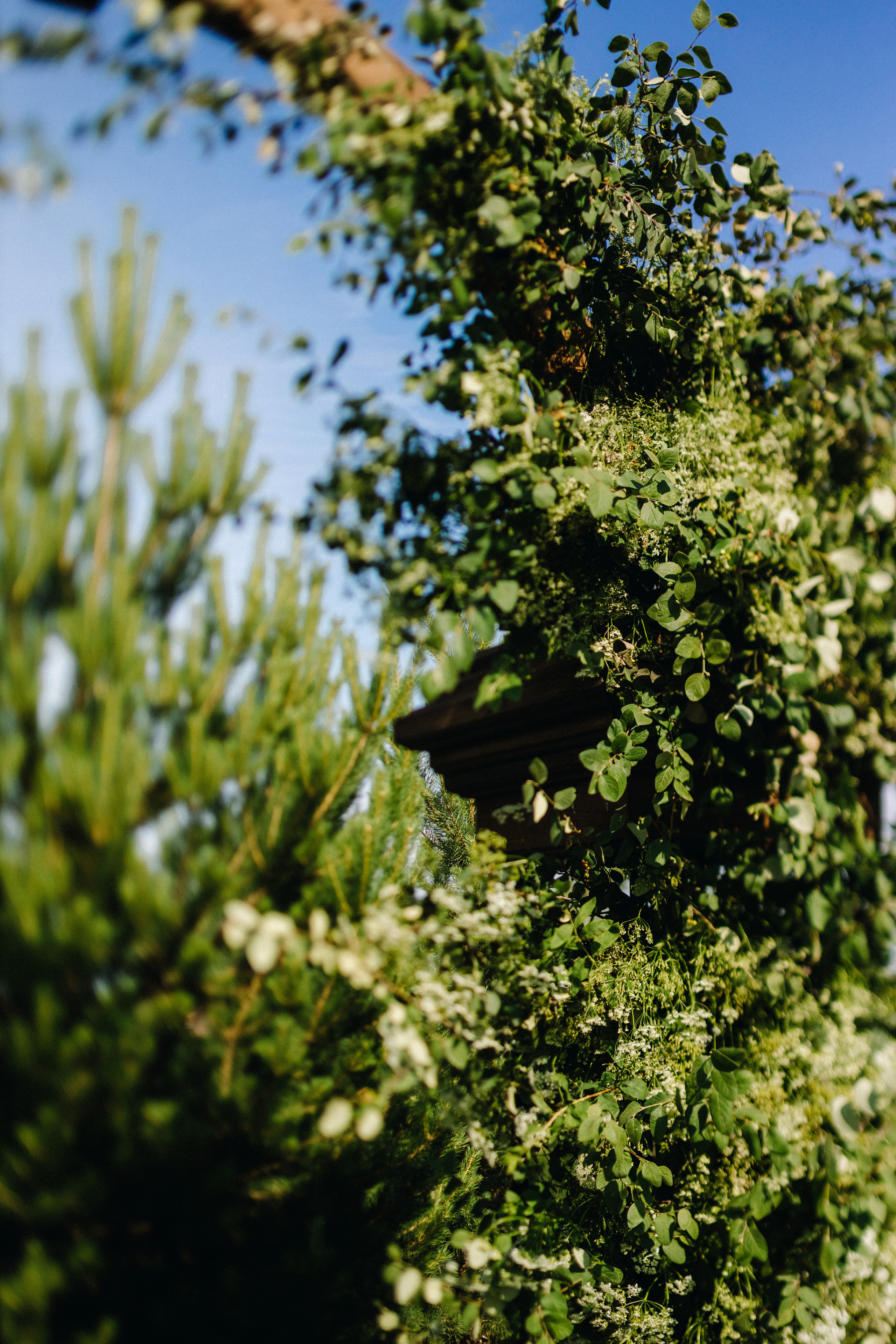 Татьяна+Иван. Фотограф в Красноярске Гетманова Мила