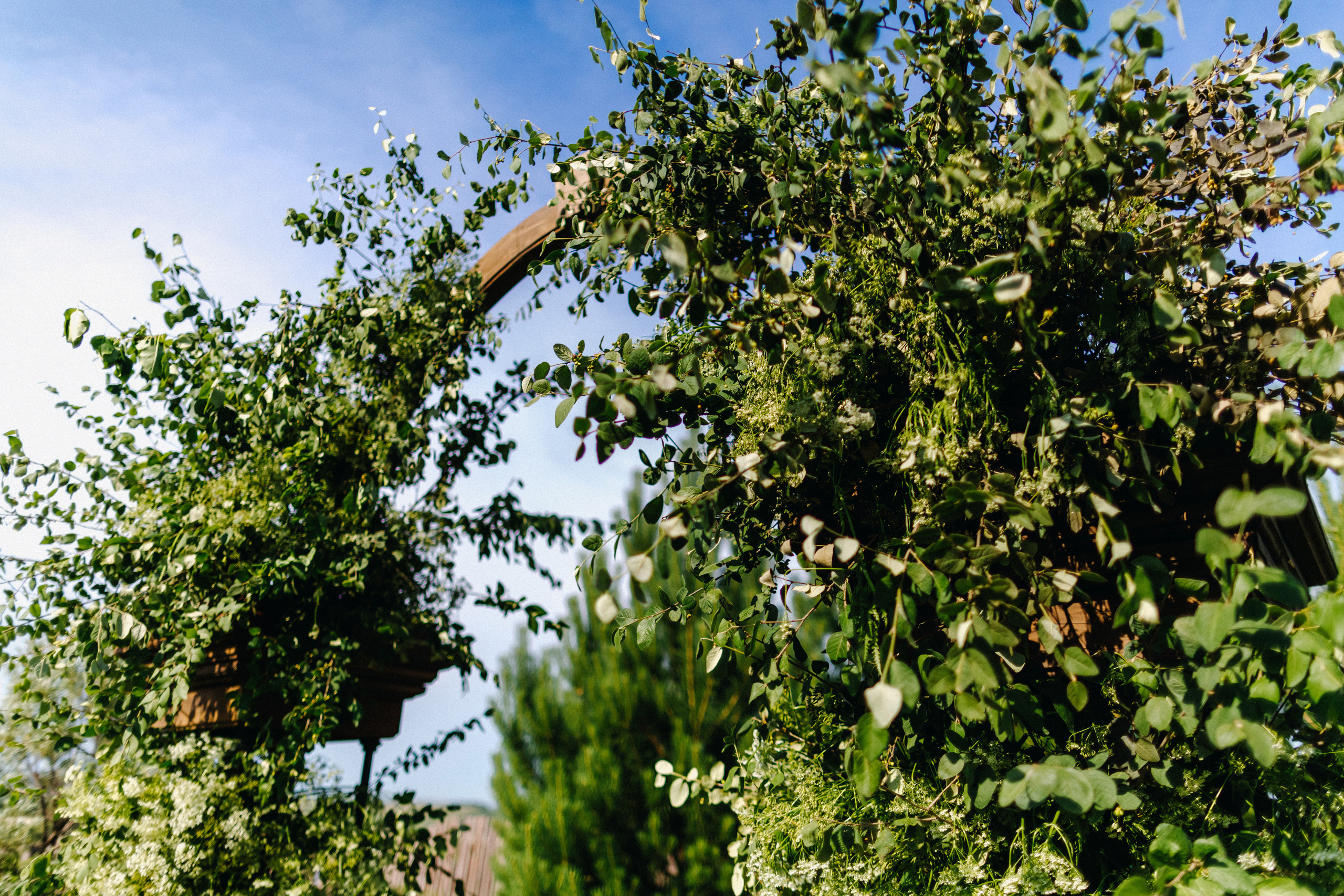 Татьяна+Иван. Фотограф в Красноярске Гетманова Мила