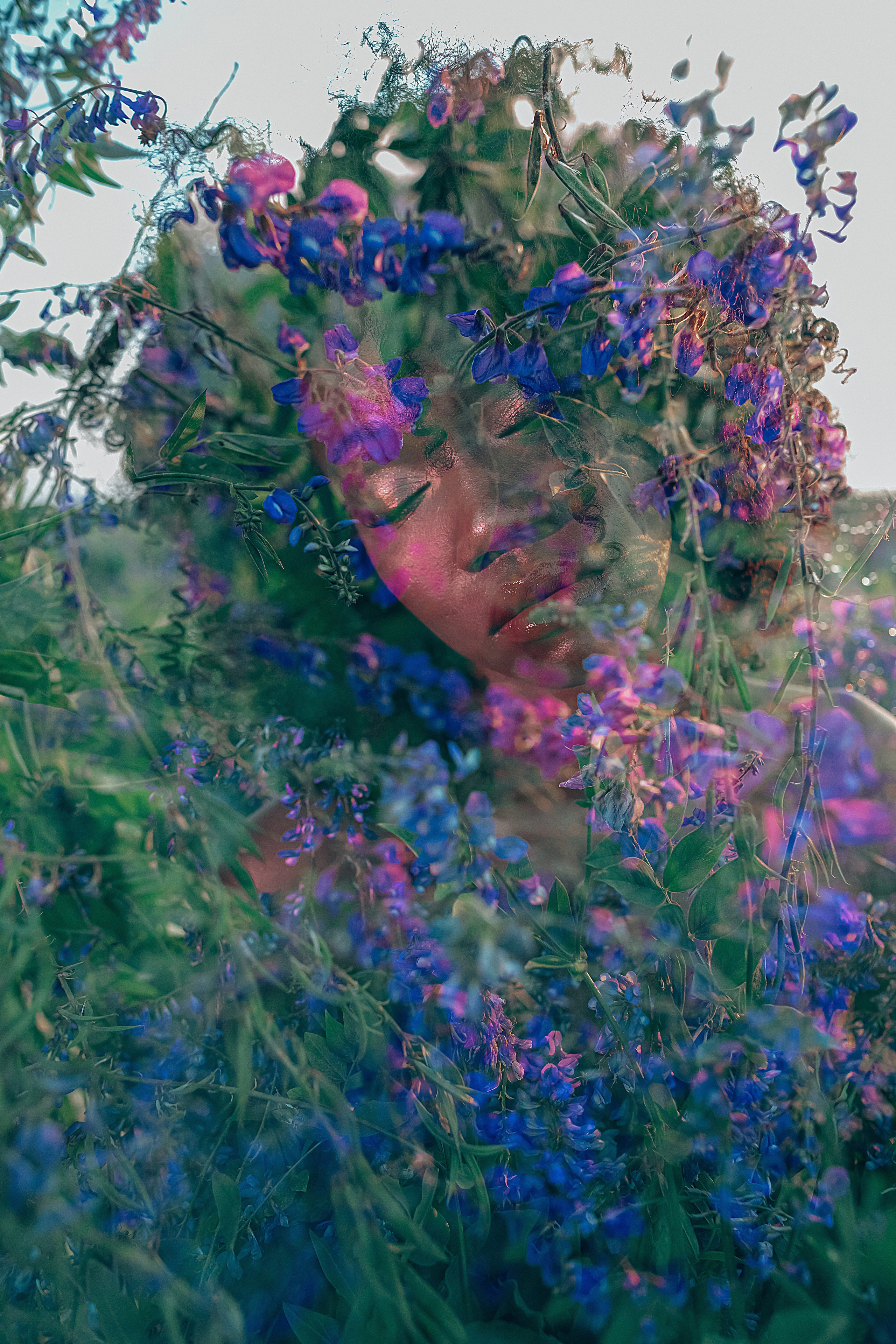 Иван-чай. Фотограф в Красноярске Гетманова Мила