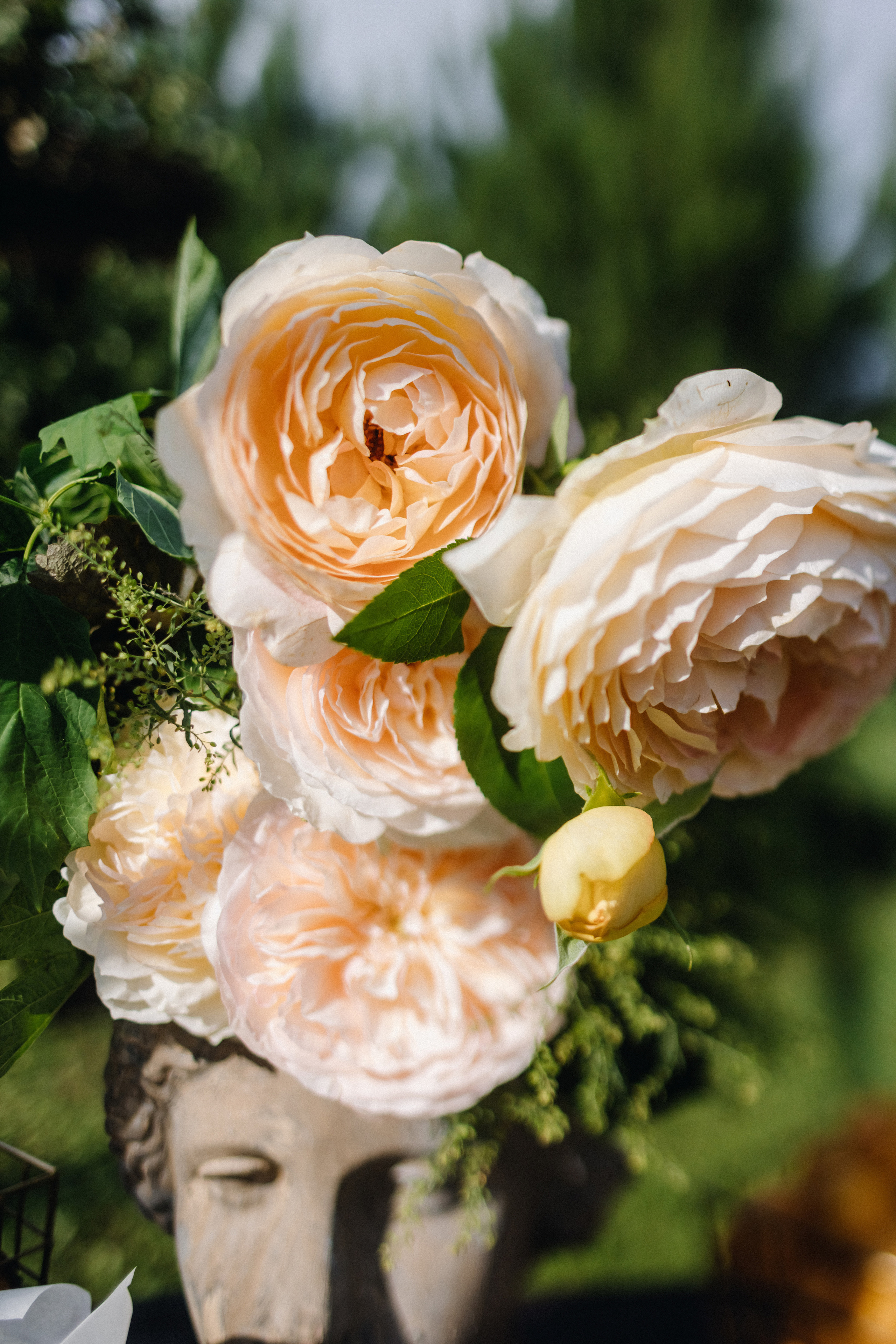 Татьяна+Иван. Фотограф в Красноярске Гетманова Мила