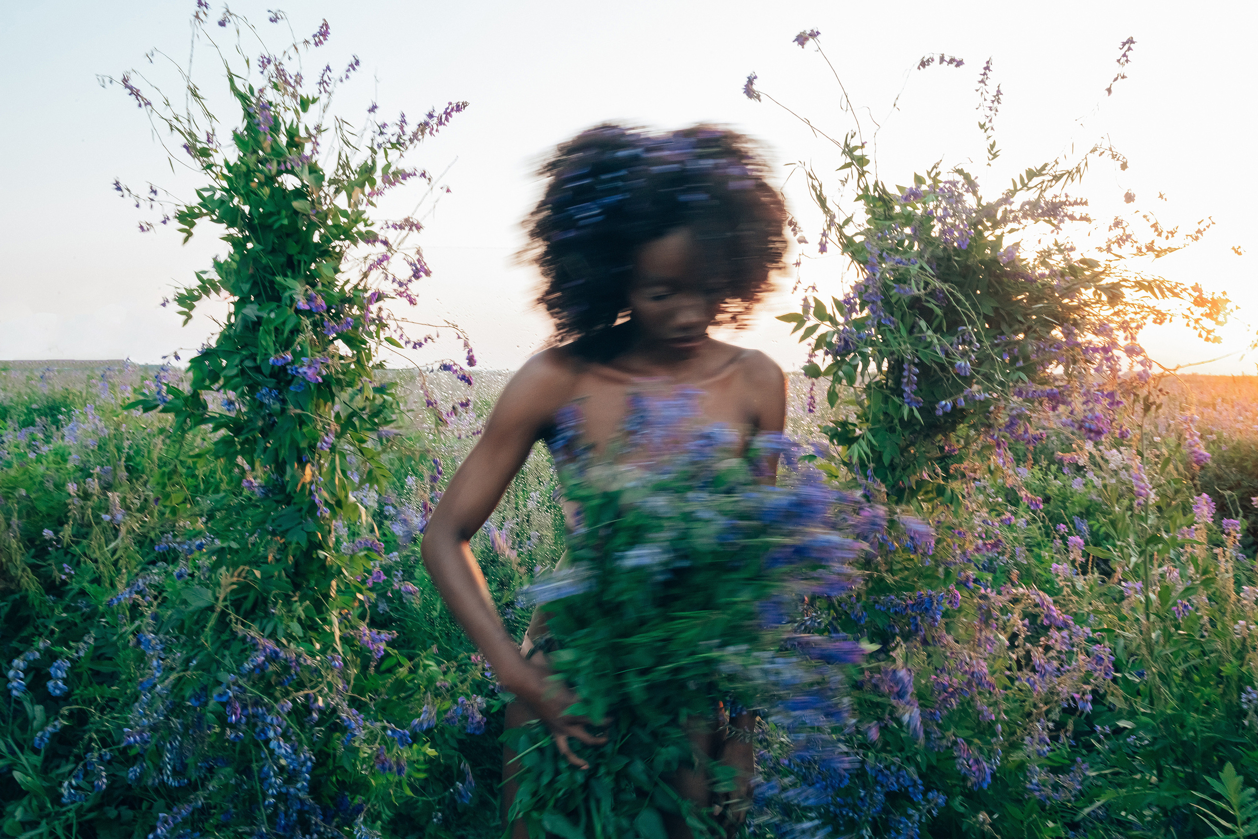 Иван-чай. Фотограф в Красноярске Гетманова Мила