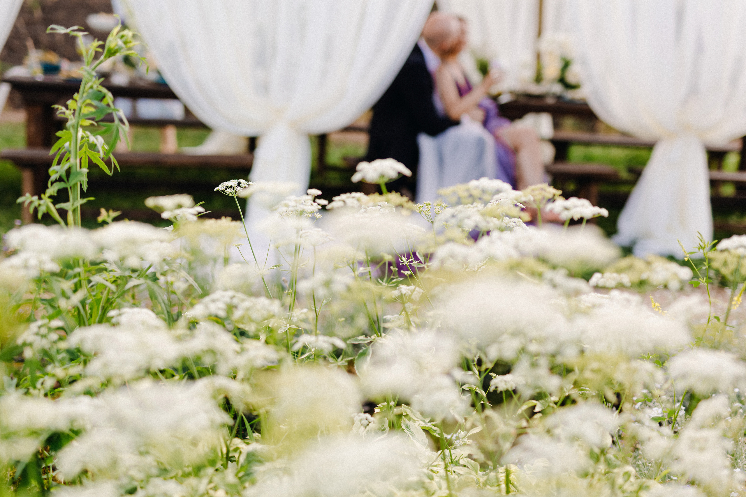 Татьяна+Иван. Фотограф в Красноярске Гетманова Мила