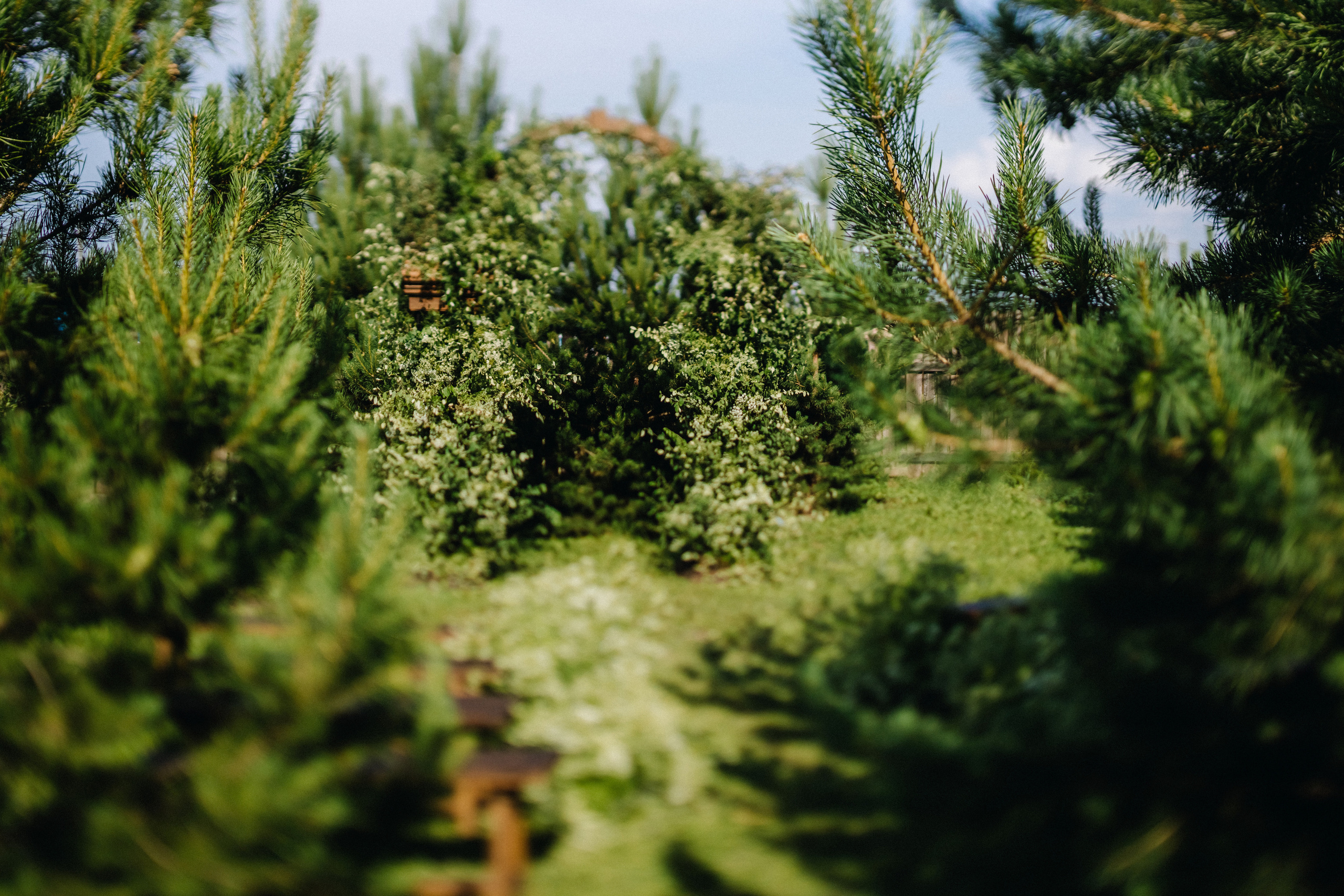 Татьяна+Иван. Фотограф в Красноярске Гетманова Мила