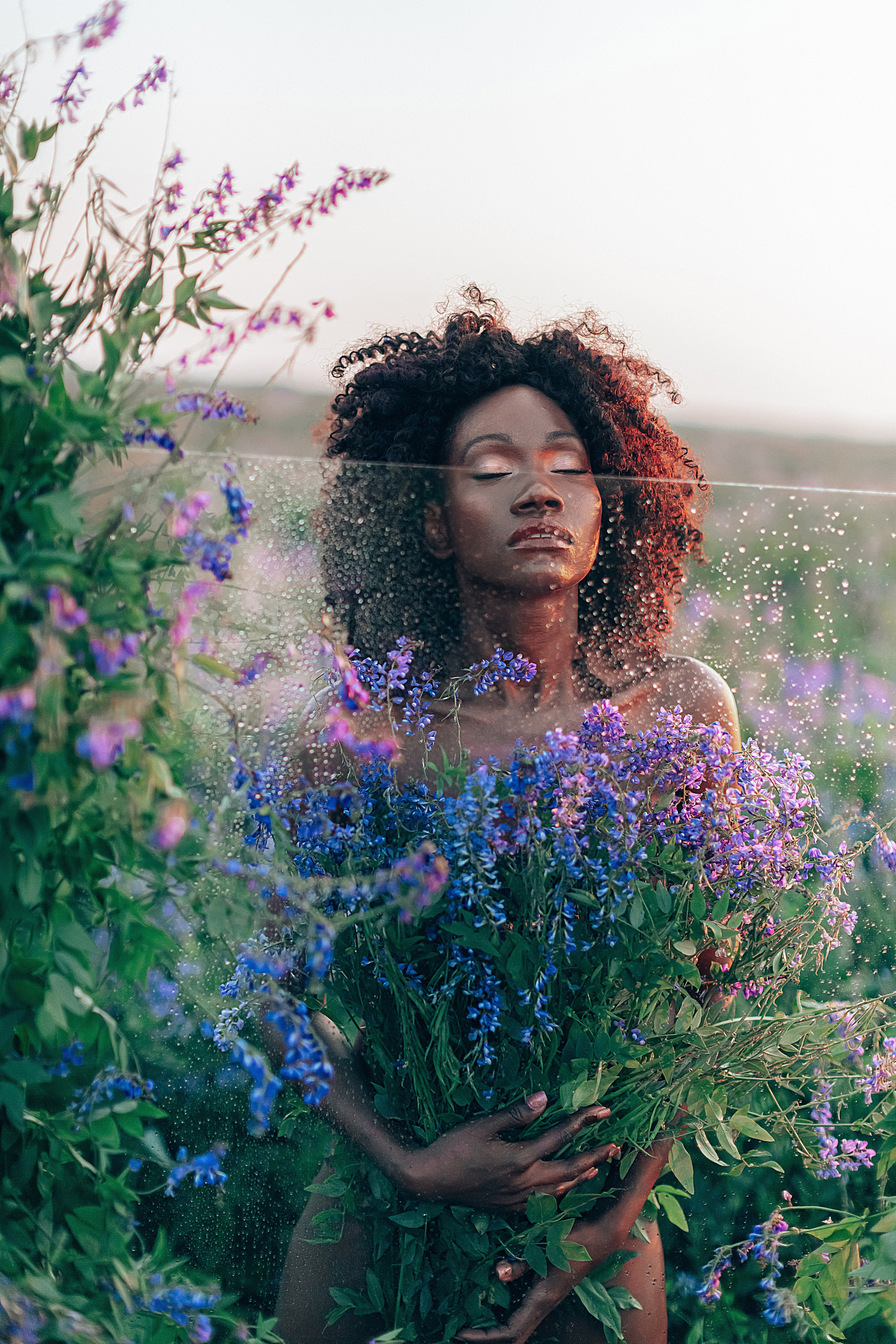 Иван-чай. Фотограф в Красноярске Гетманова Мила