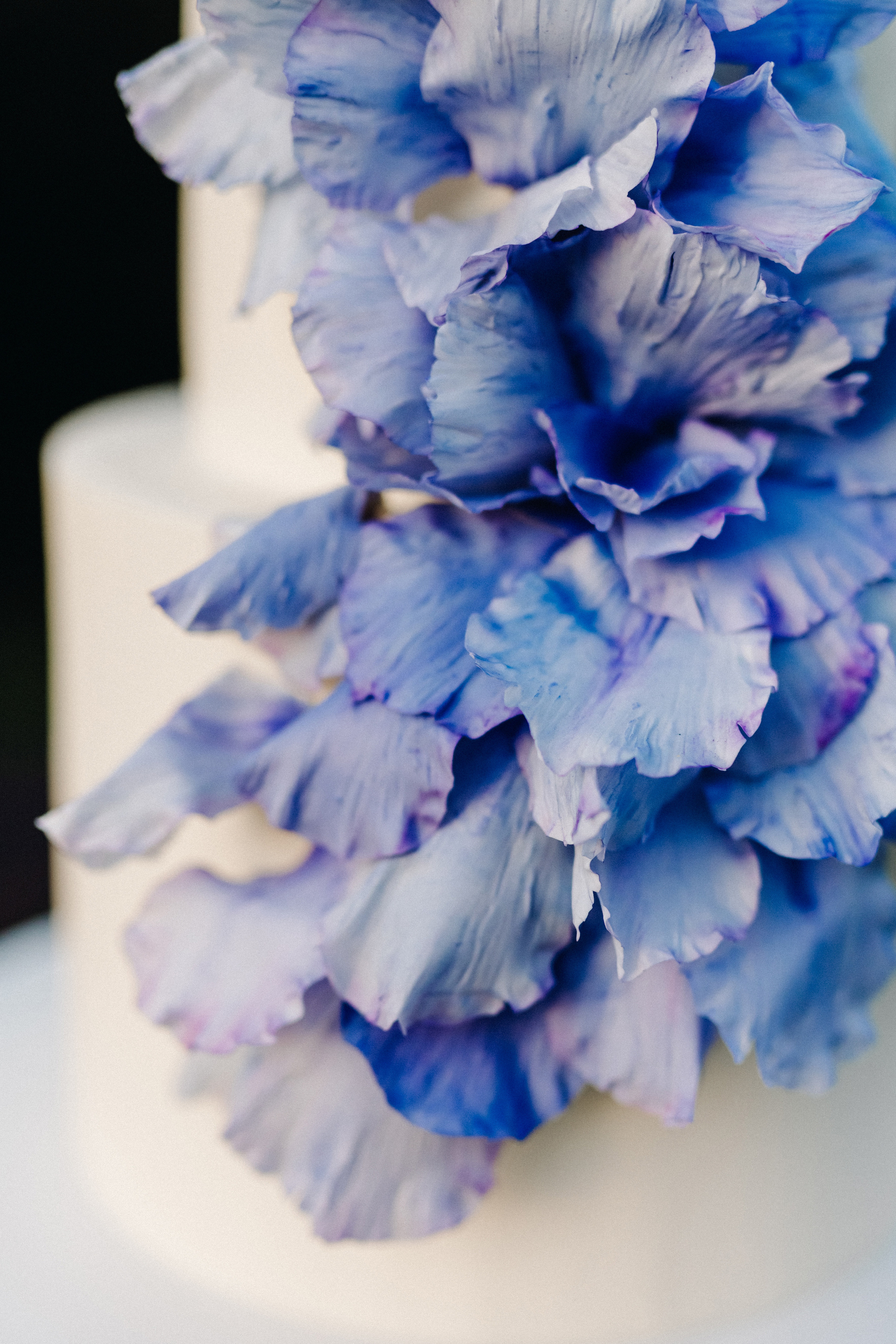 Татьяна+Иван. Фотограф в Красноярске Гетманова Мила