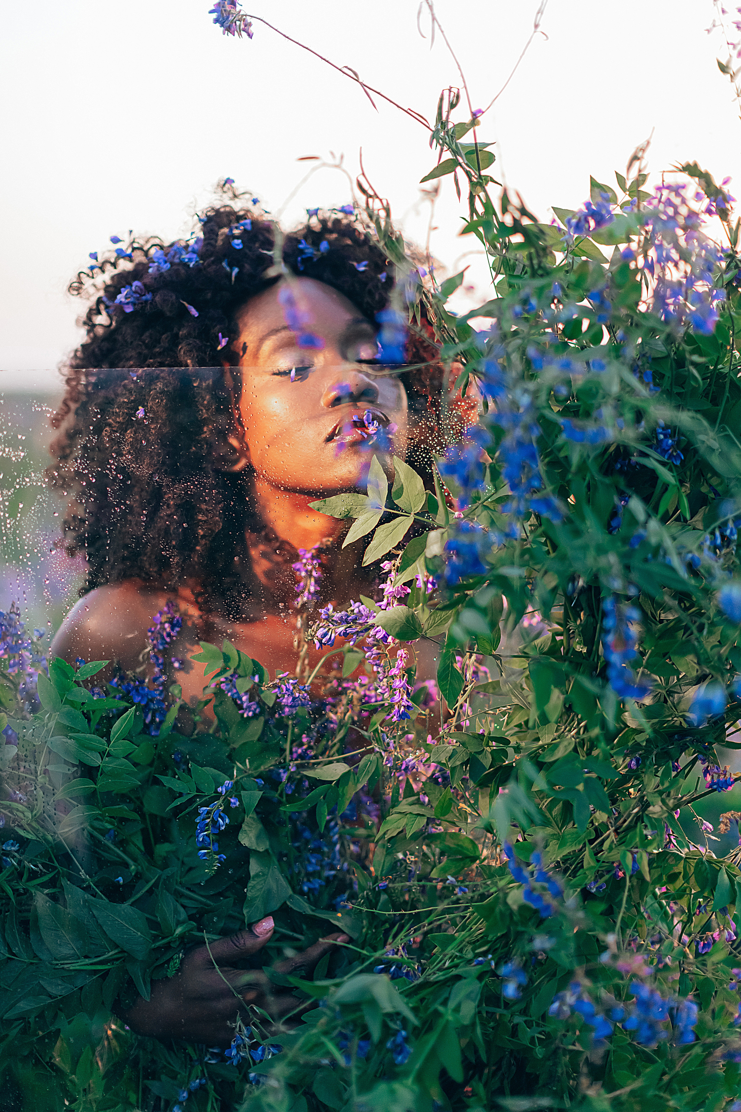 Иван-чай. Фотограф в Красноярске Гетманова Мила