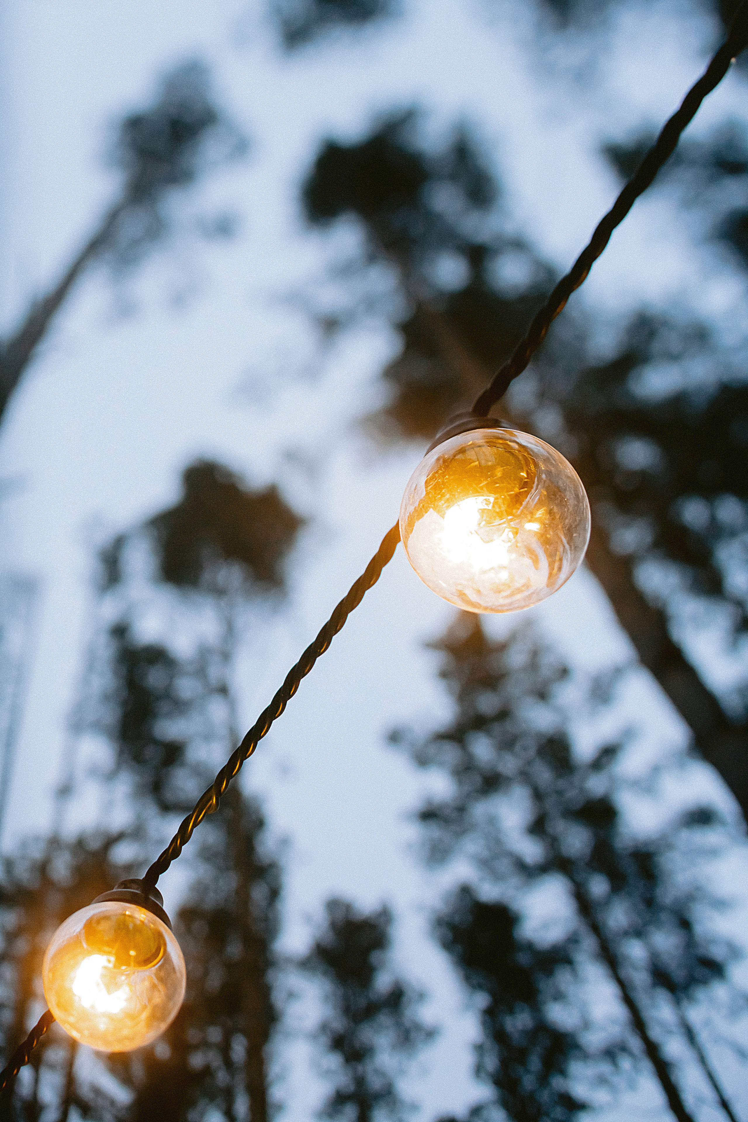 Домик в лесу. Фотограф в Красноярске Гетманова Мила