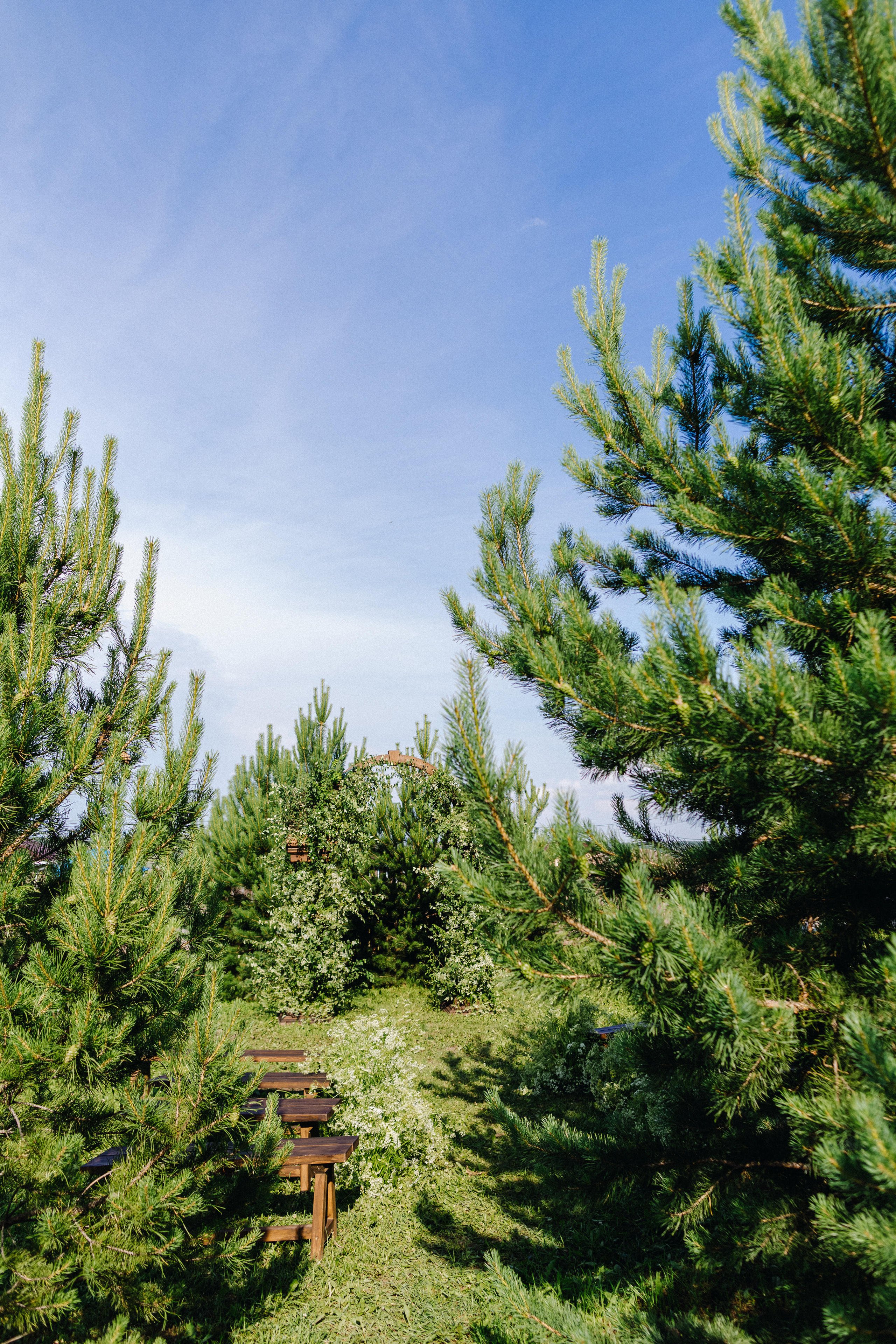 Татьяна+Иван. Фотограф в Красноярске Гетманова Мила
