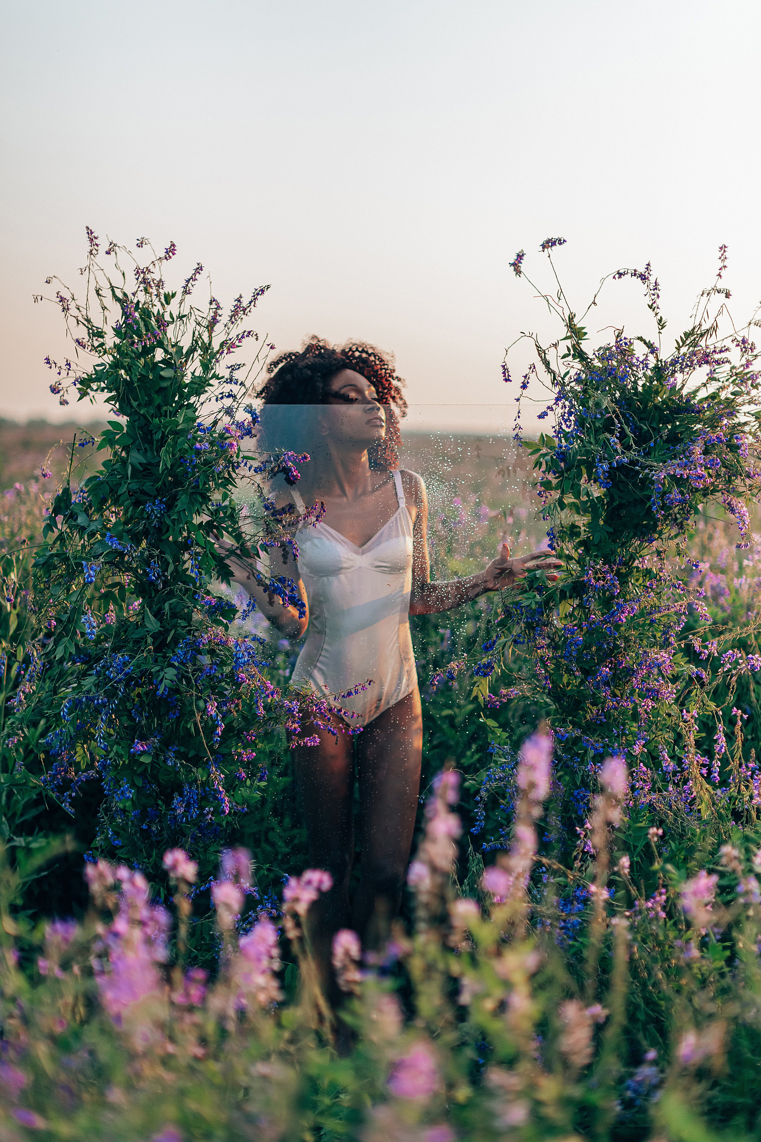 Иван-чай. Фотограф в Красноярске Гетманова Мила