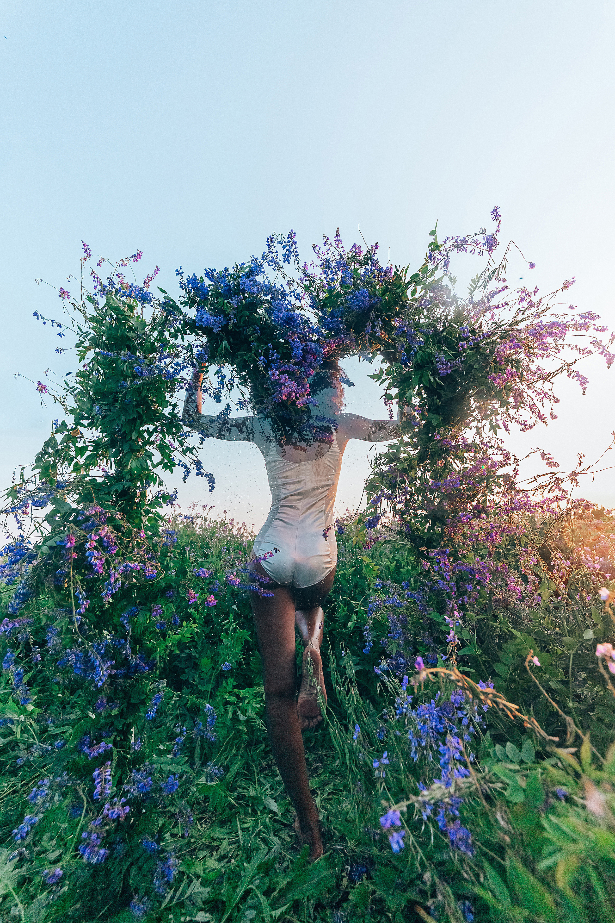 Иван-чай. Фотограф в Красноярске Гетманова Мила